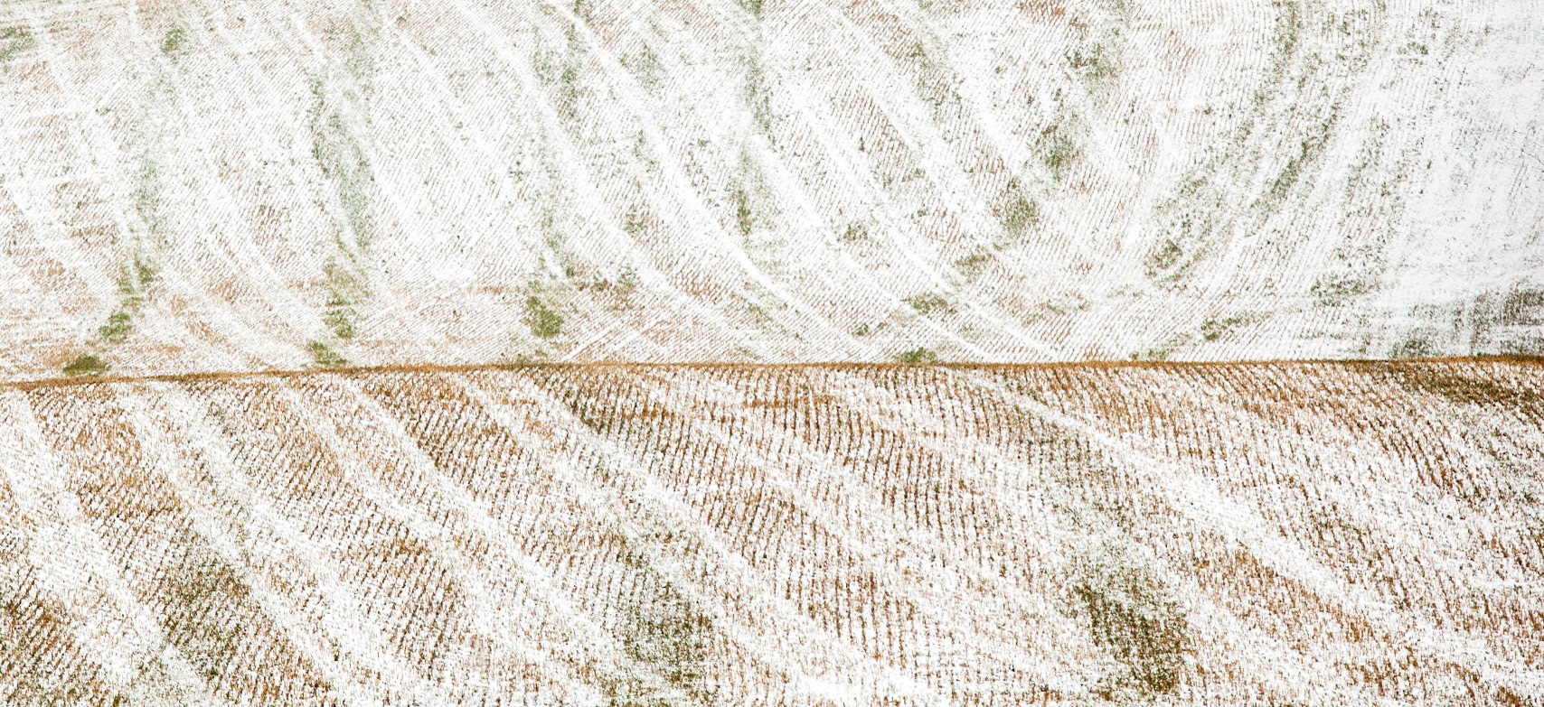 Winter fields, near Hastings