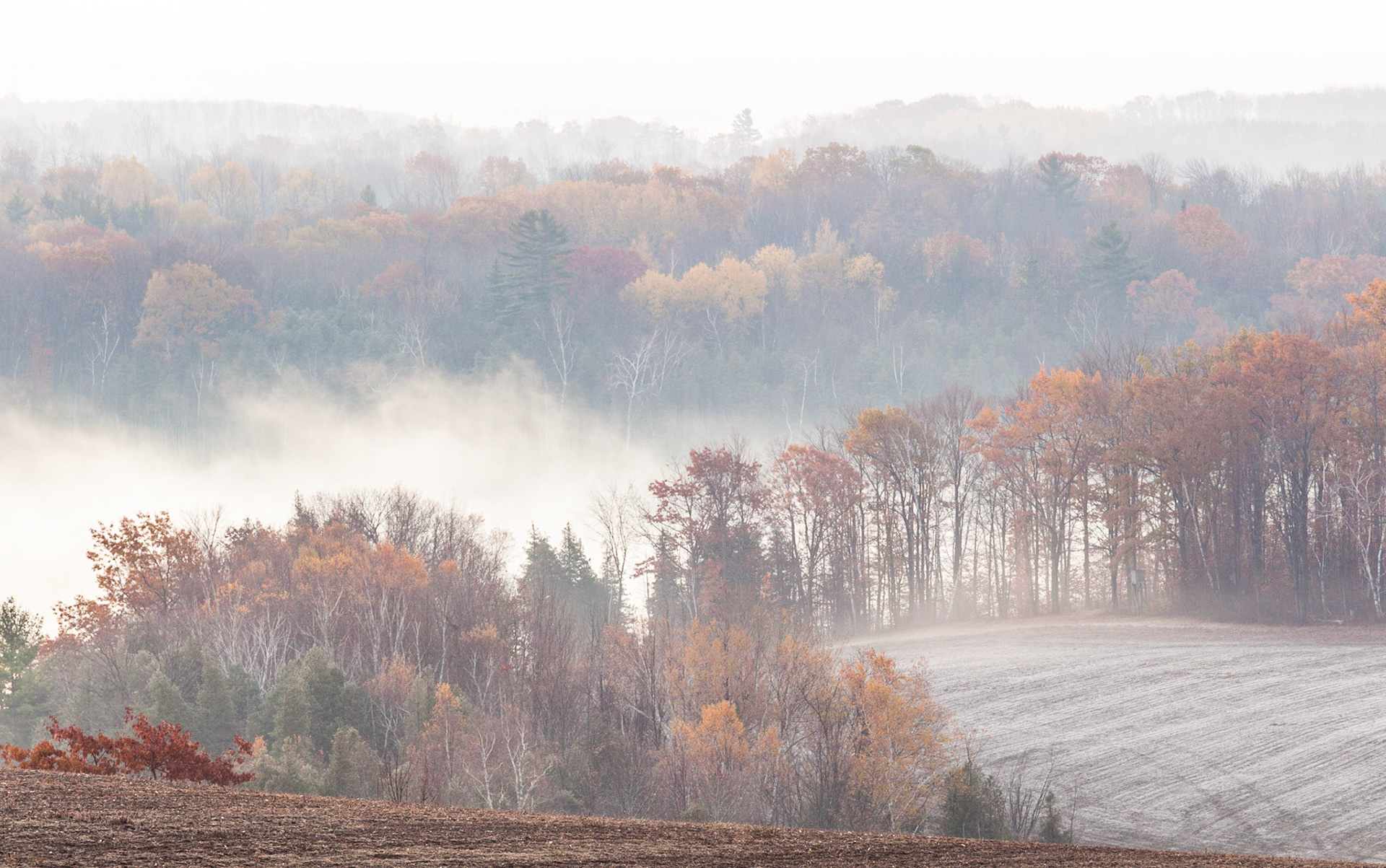 Dawn, Late November, Stevenson  Lake