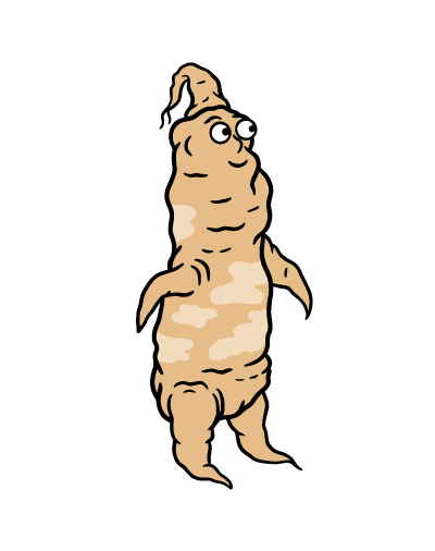 Ginseng