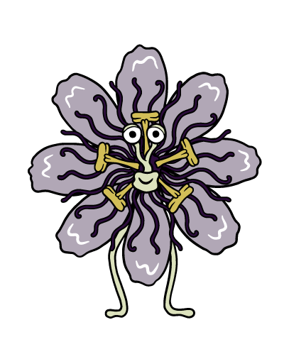 Passion Flower