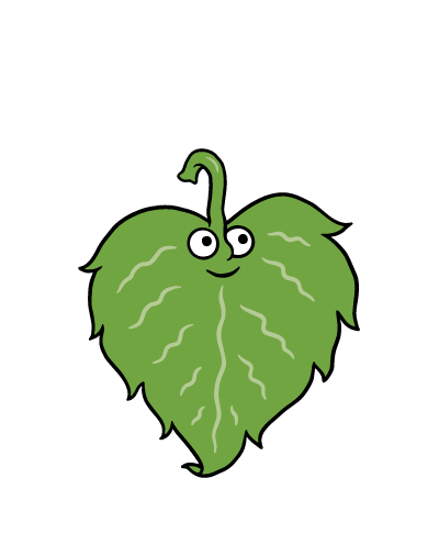 Lemon Balm