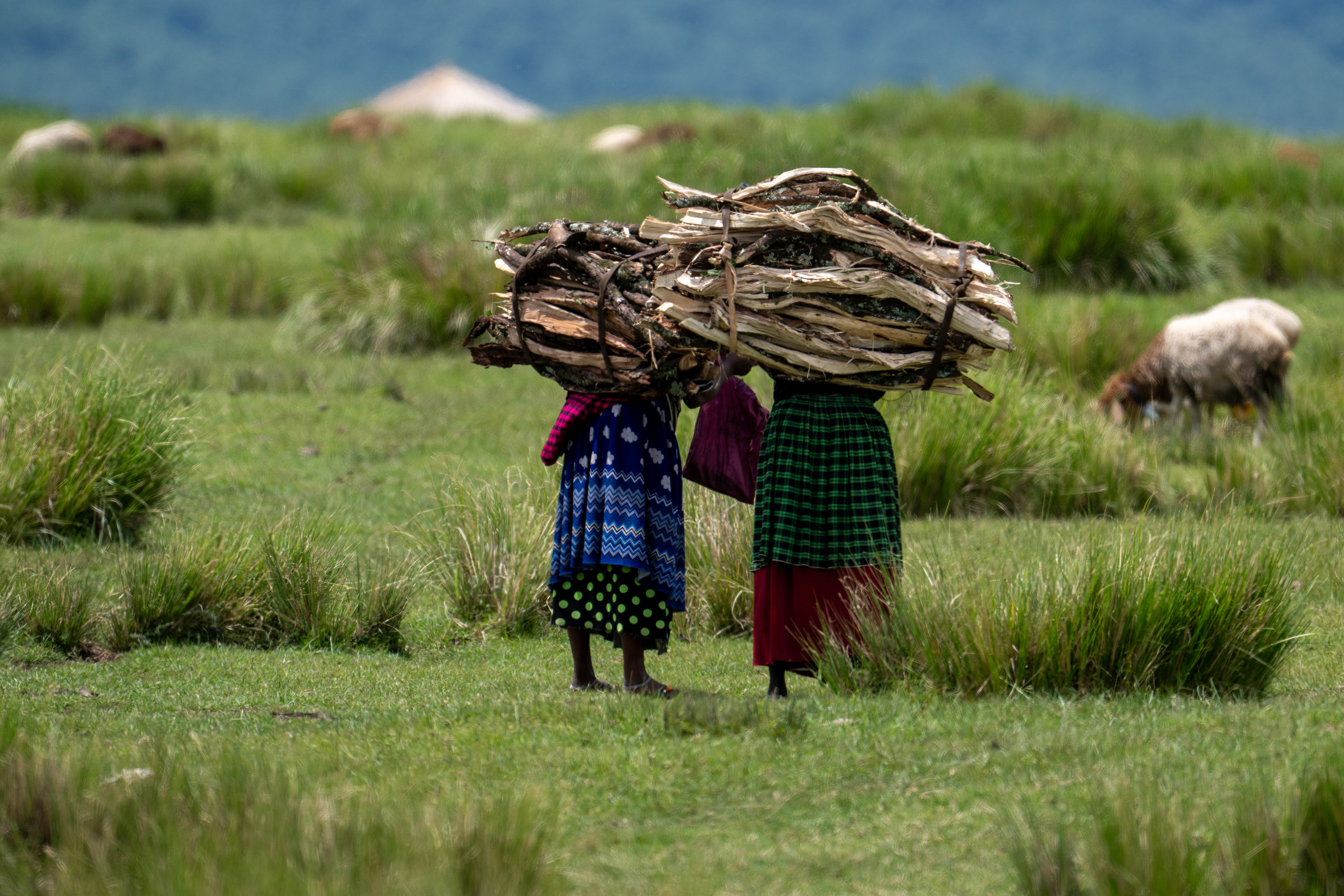 Ngorongoro Crater