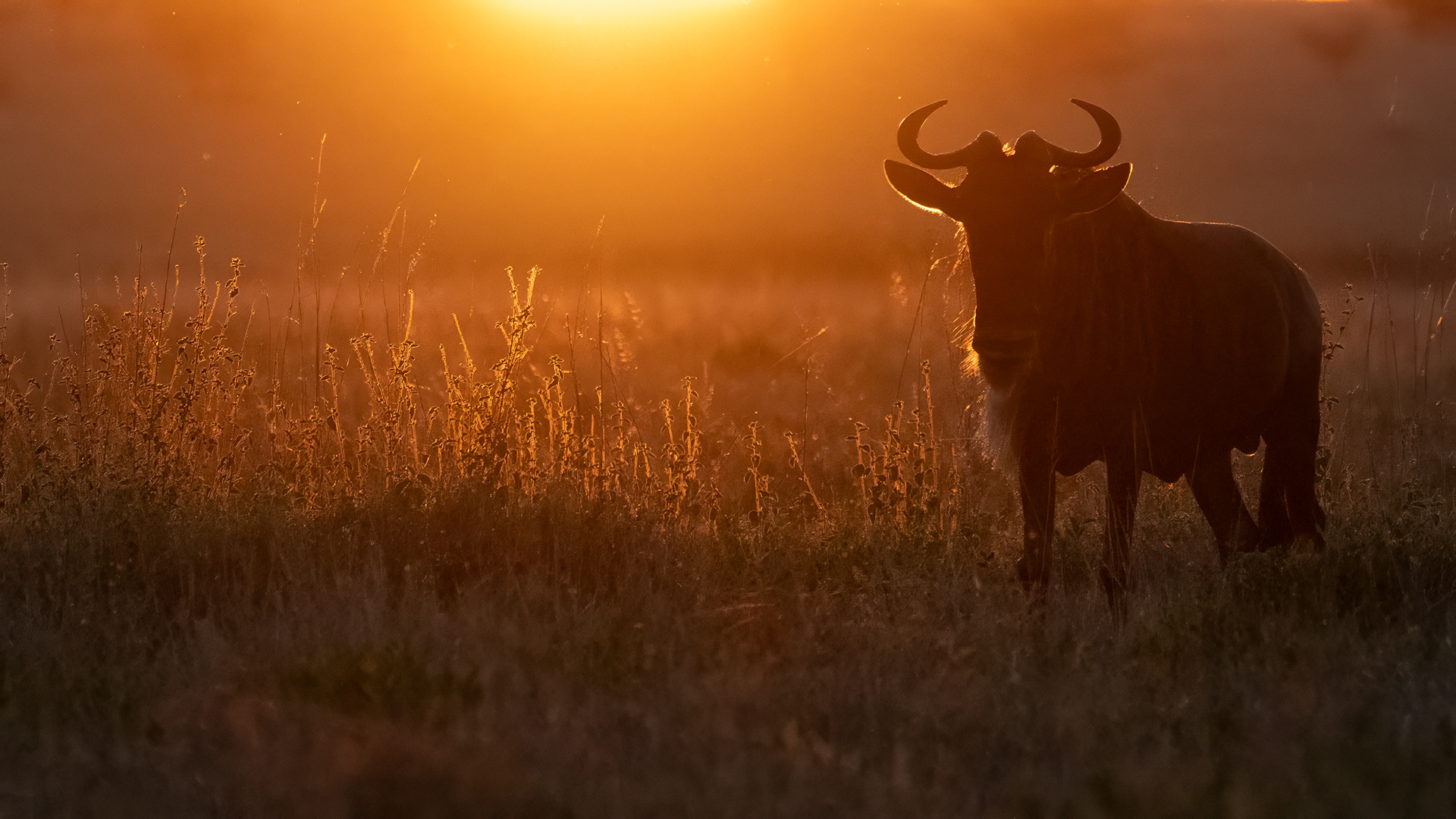 Serengeti National Park