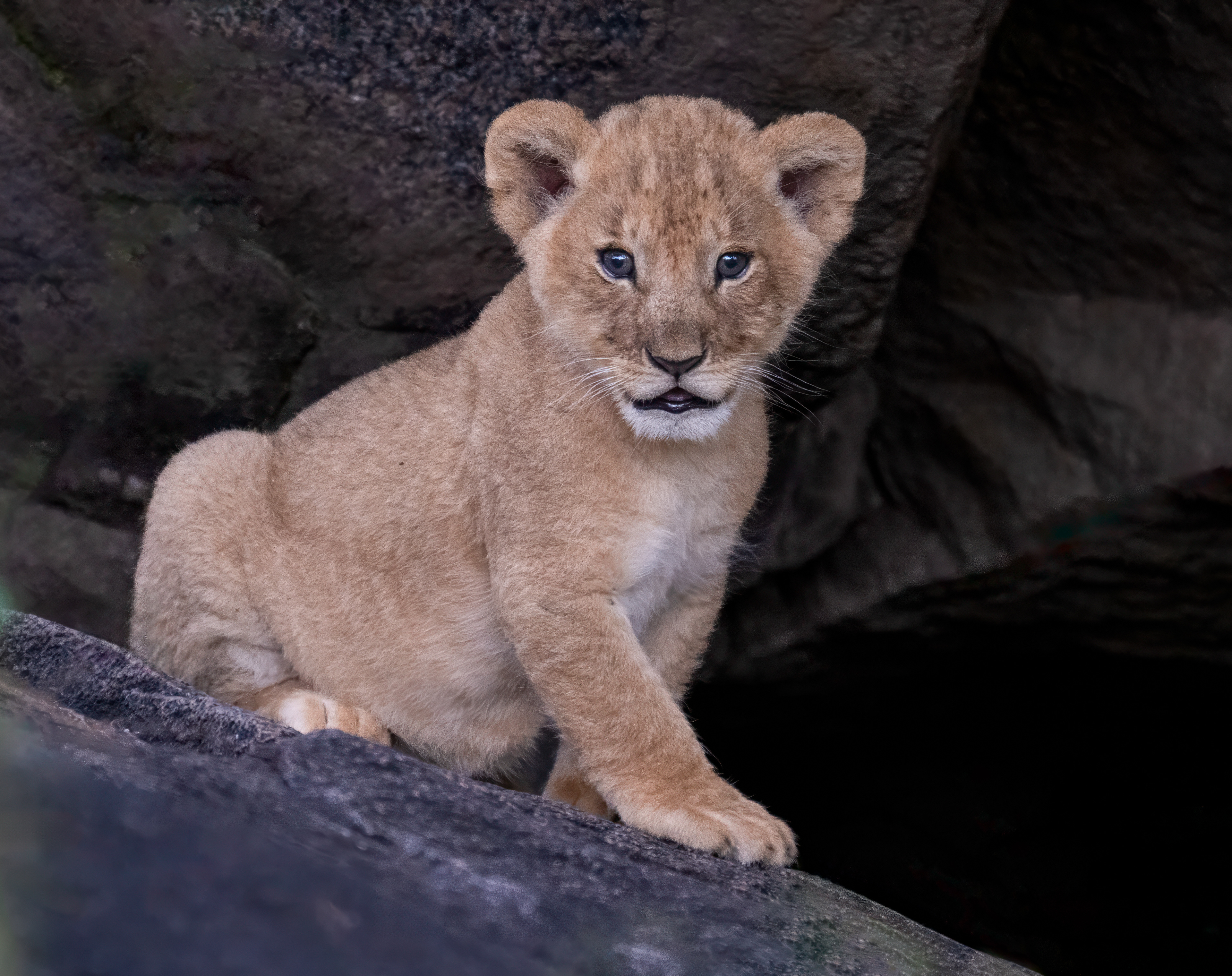 Serengeti National Park