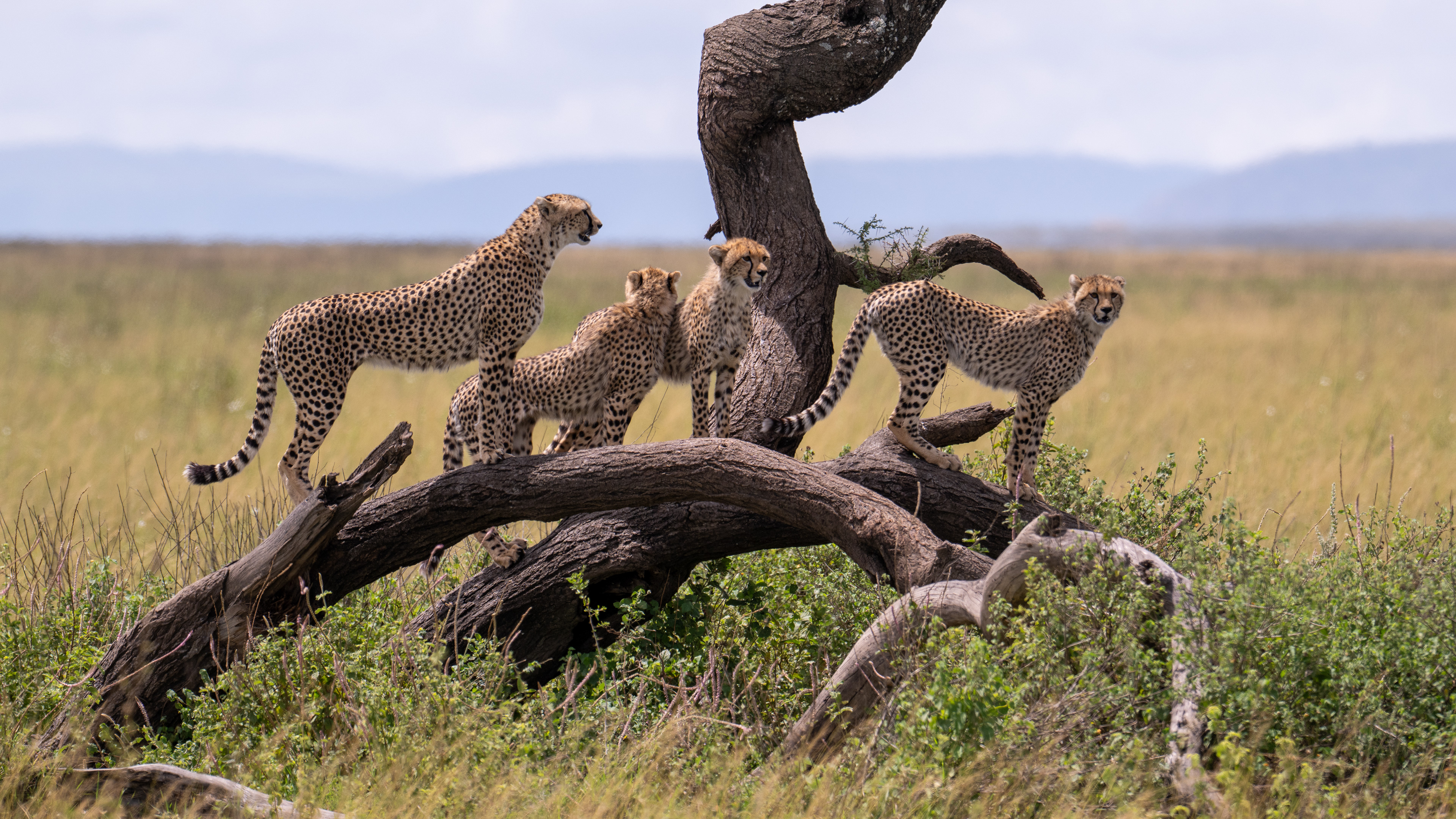 Serengeti National Park