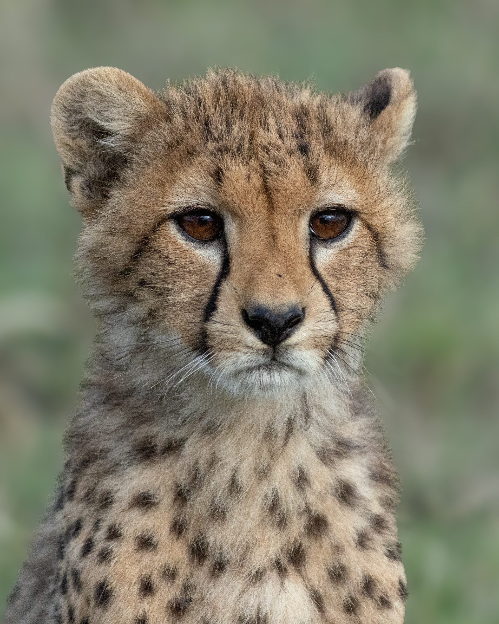 Serengeti National Park