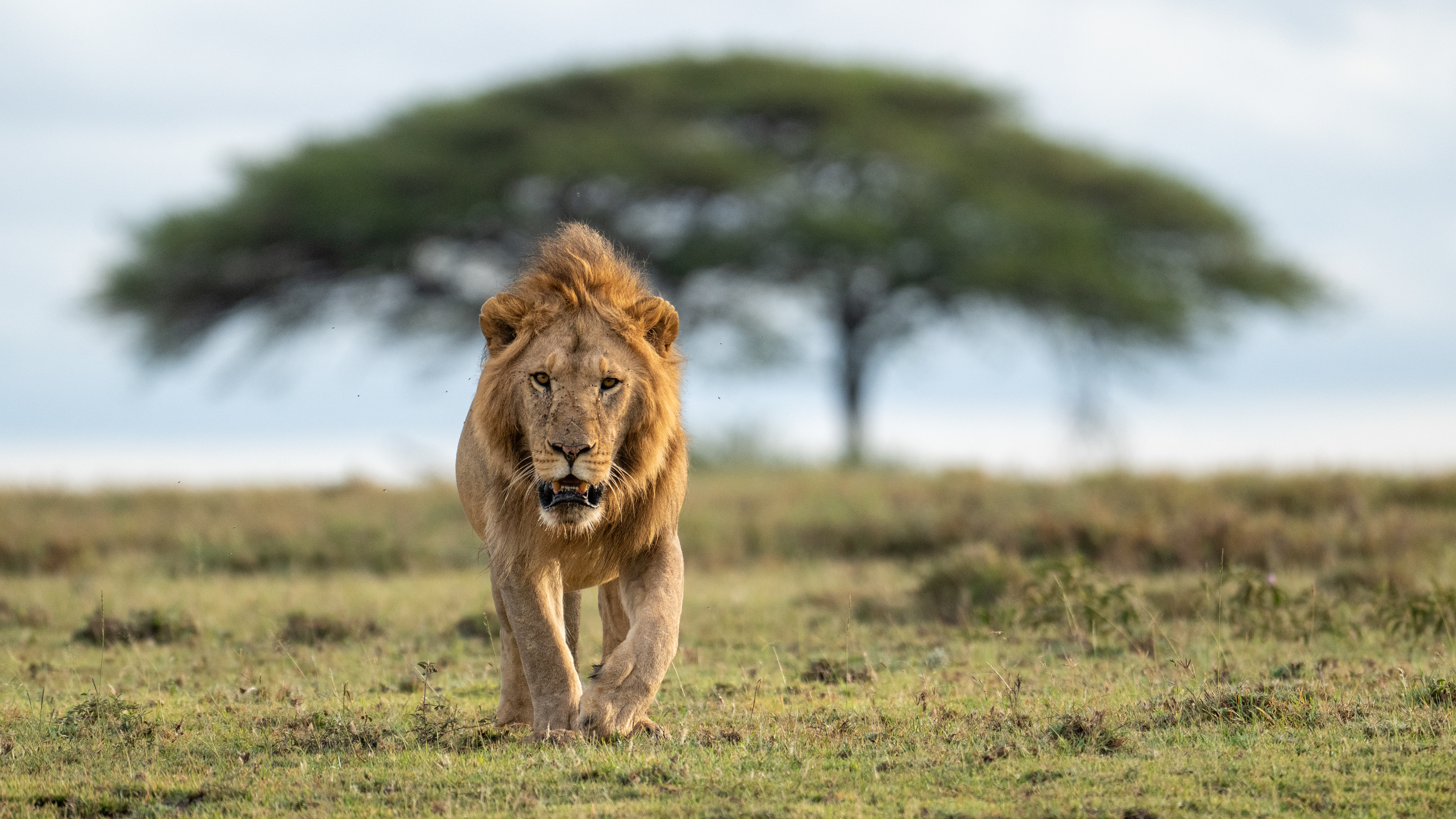 Serengeti National Park