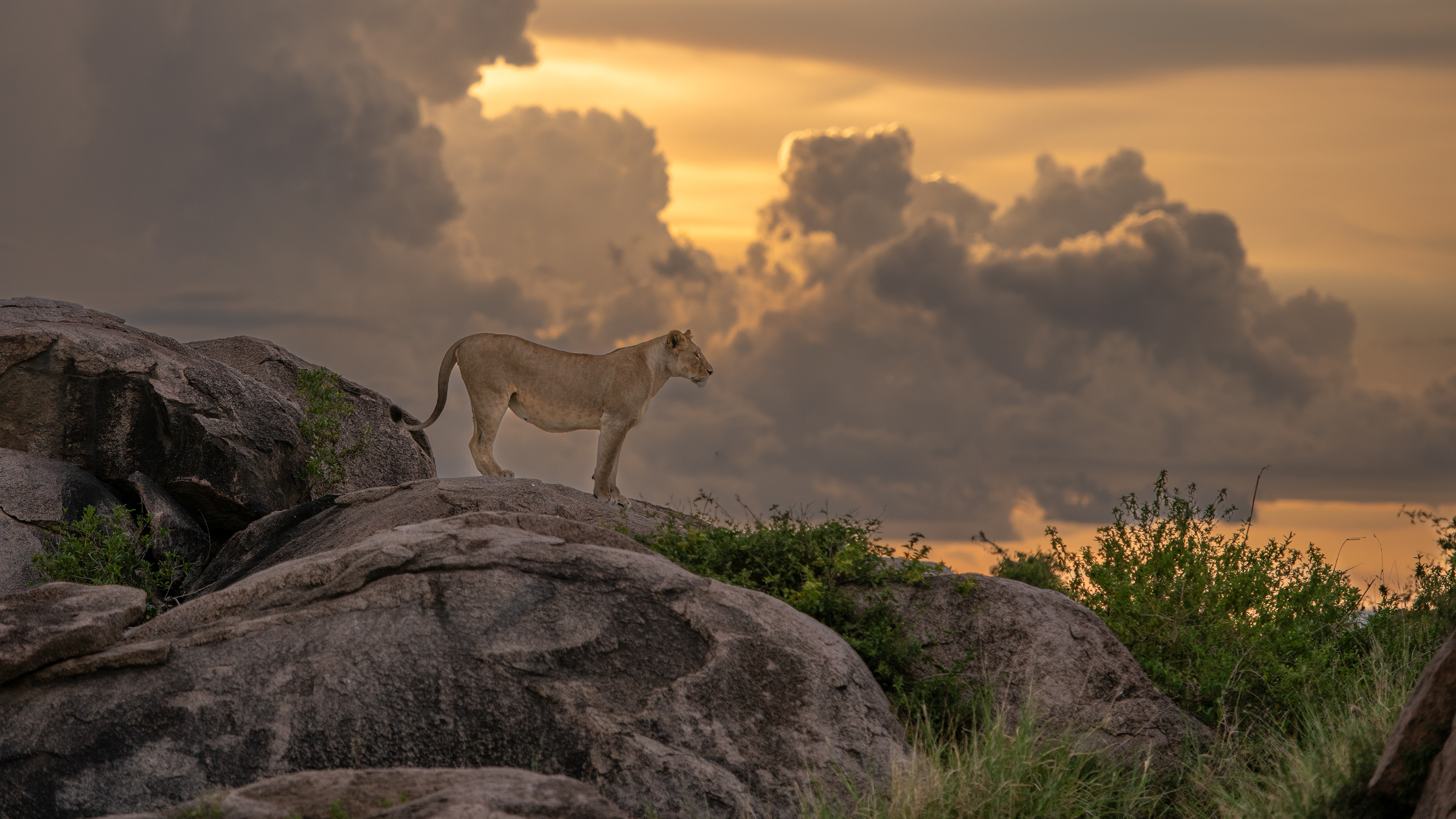 Serengeti National Park