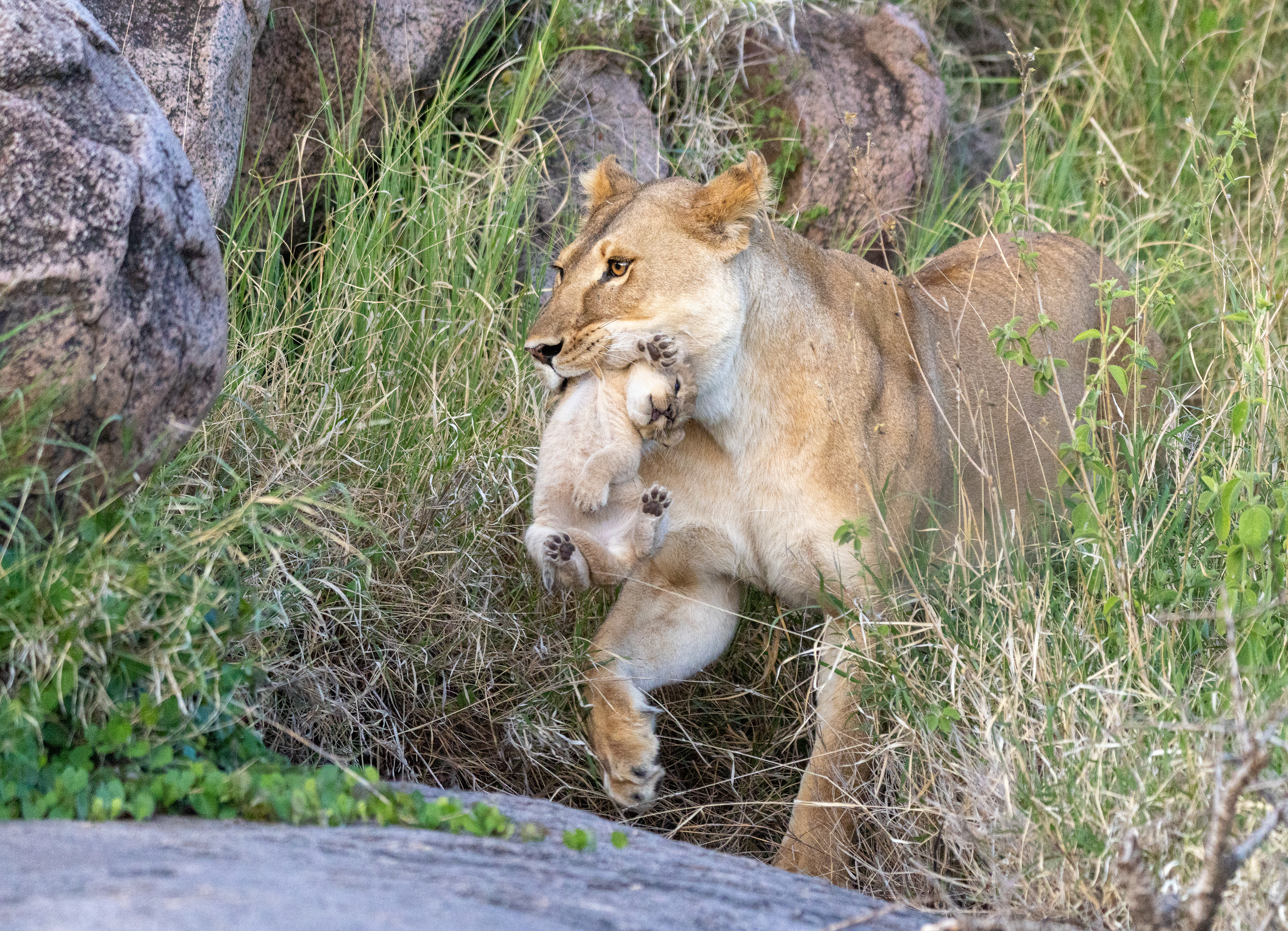 Serengeti National Park