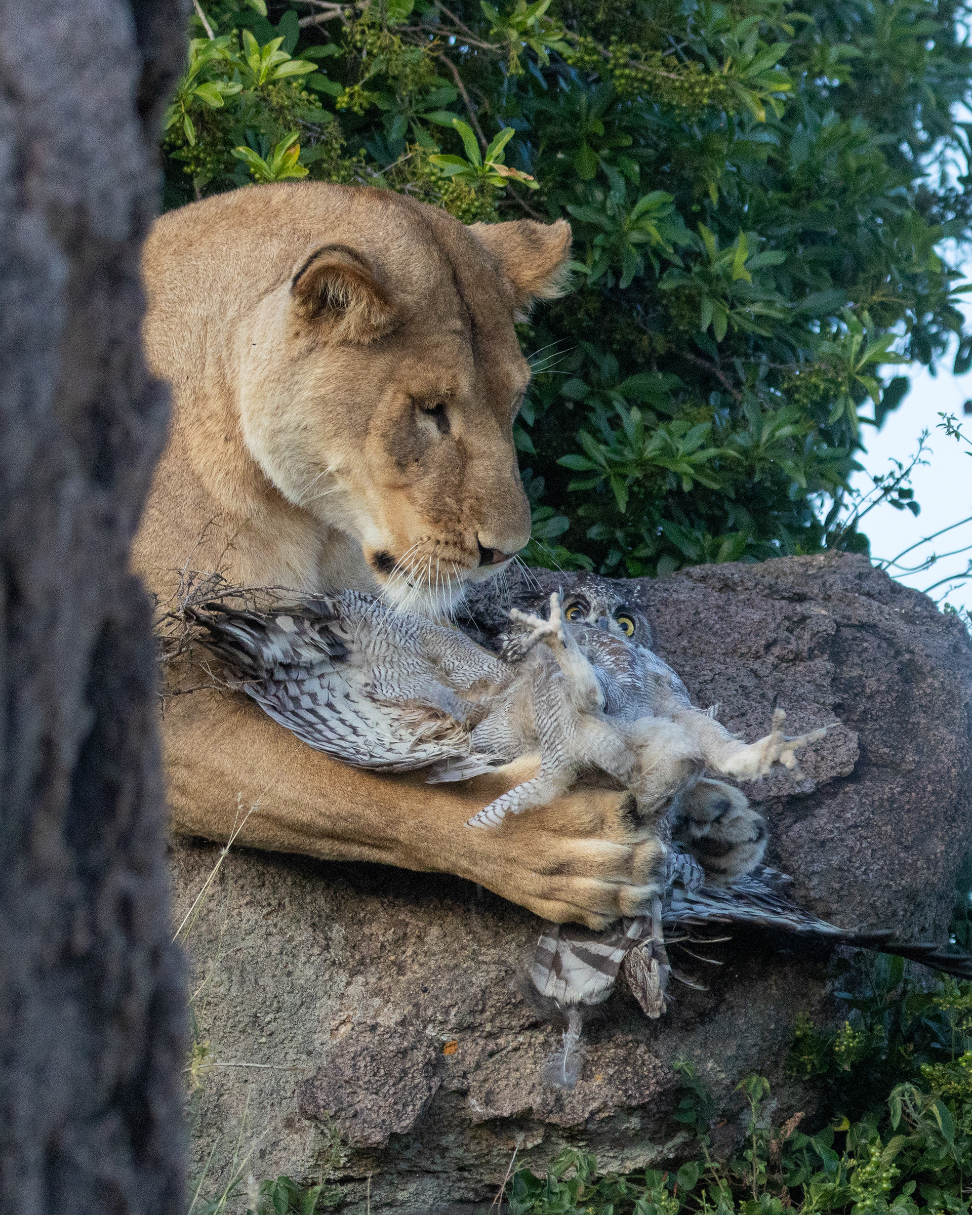 Serengeti National Park