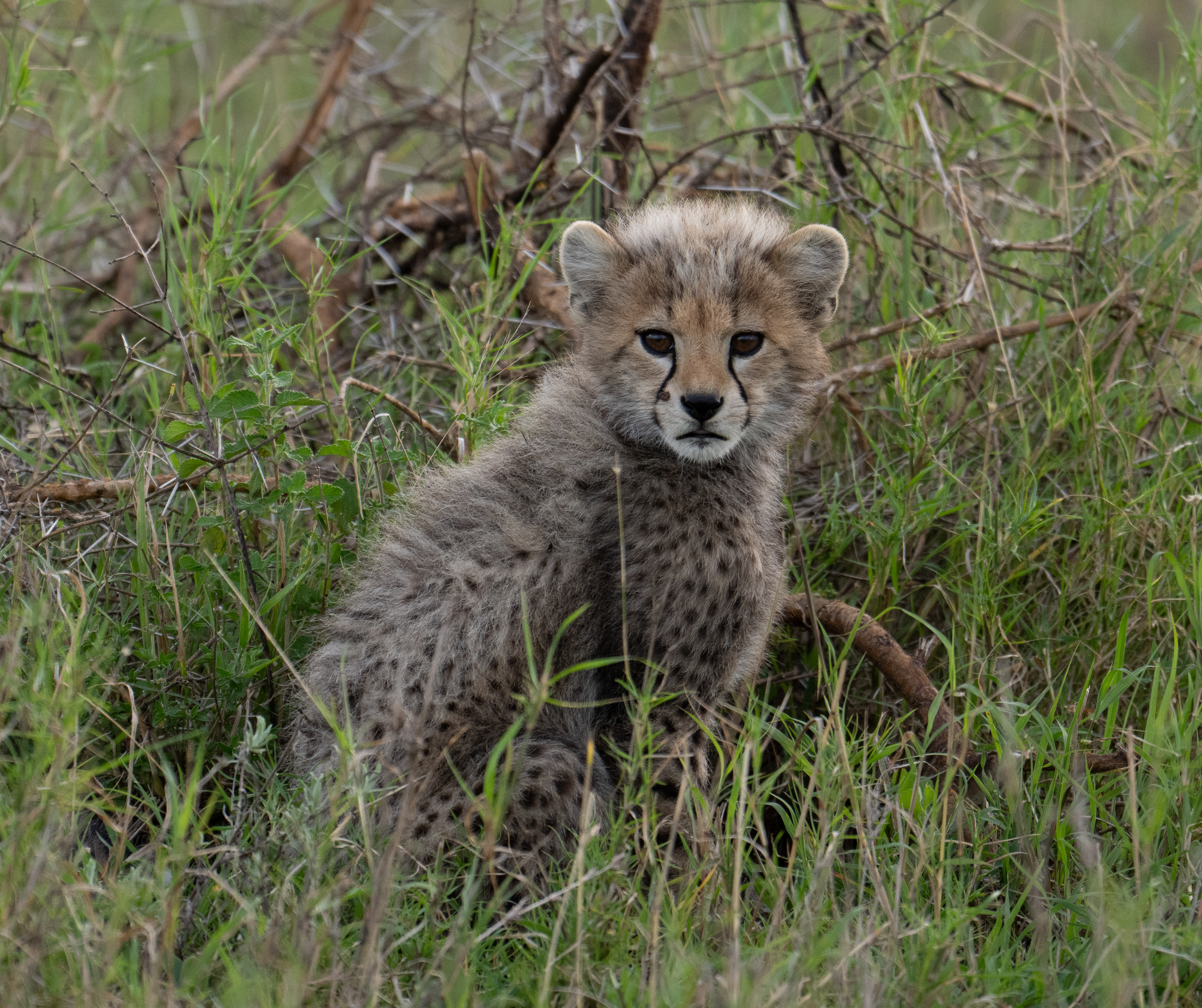 Serengeti National Park