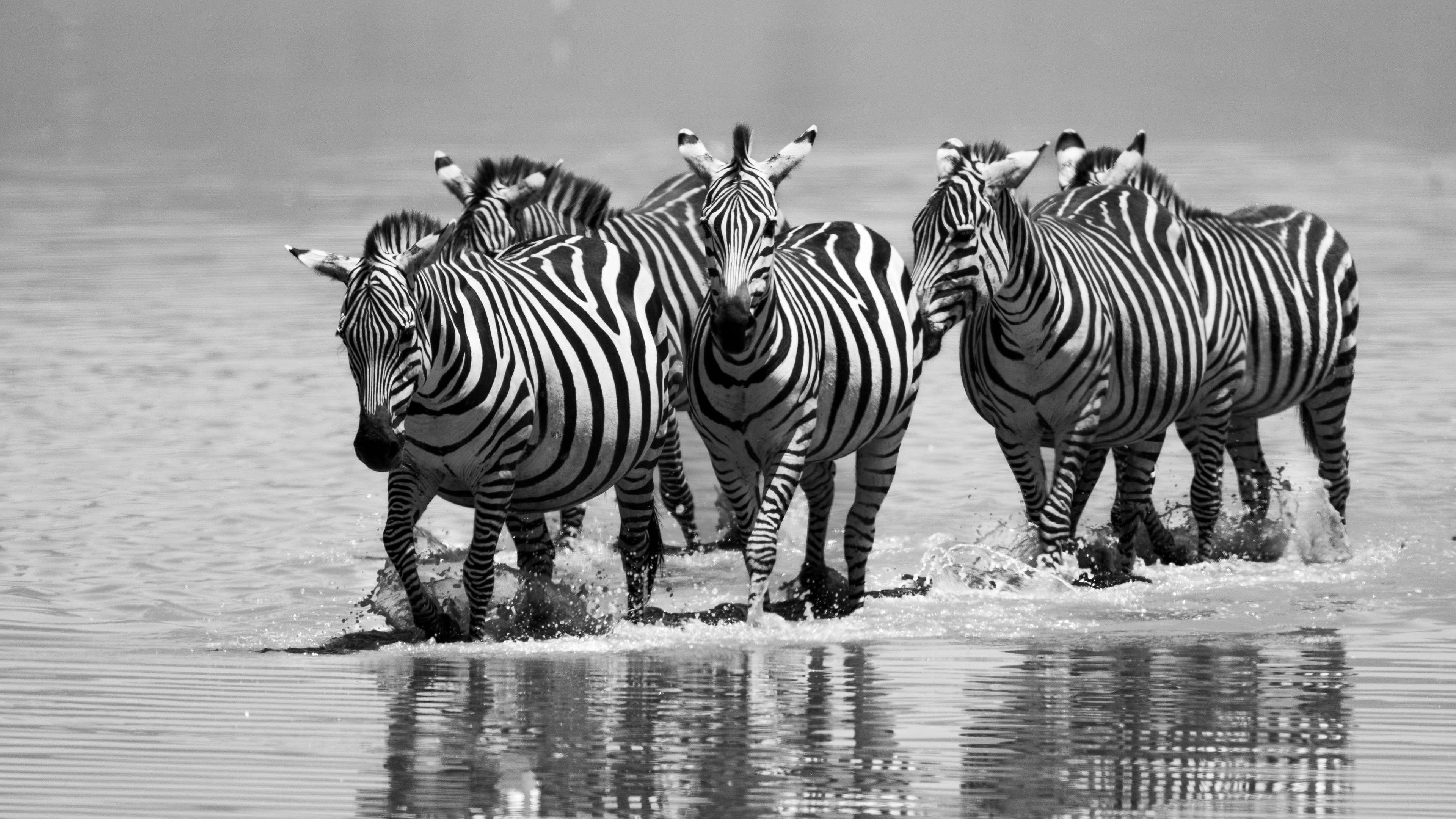 Ngorongoro Crater