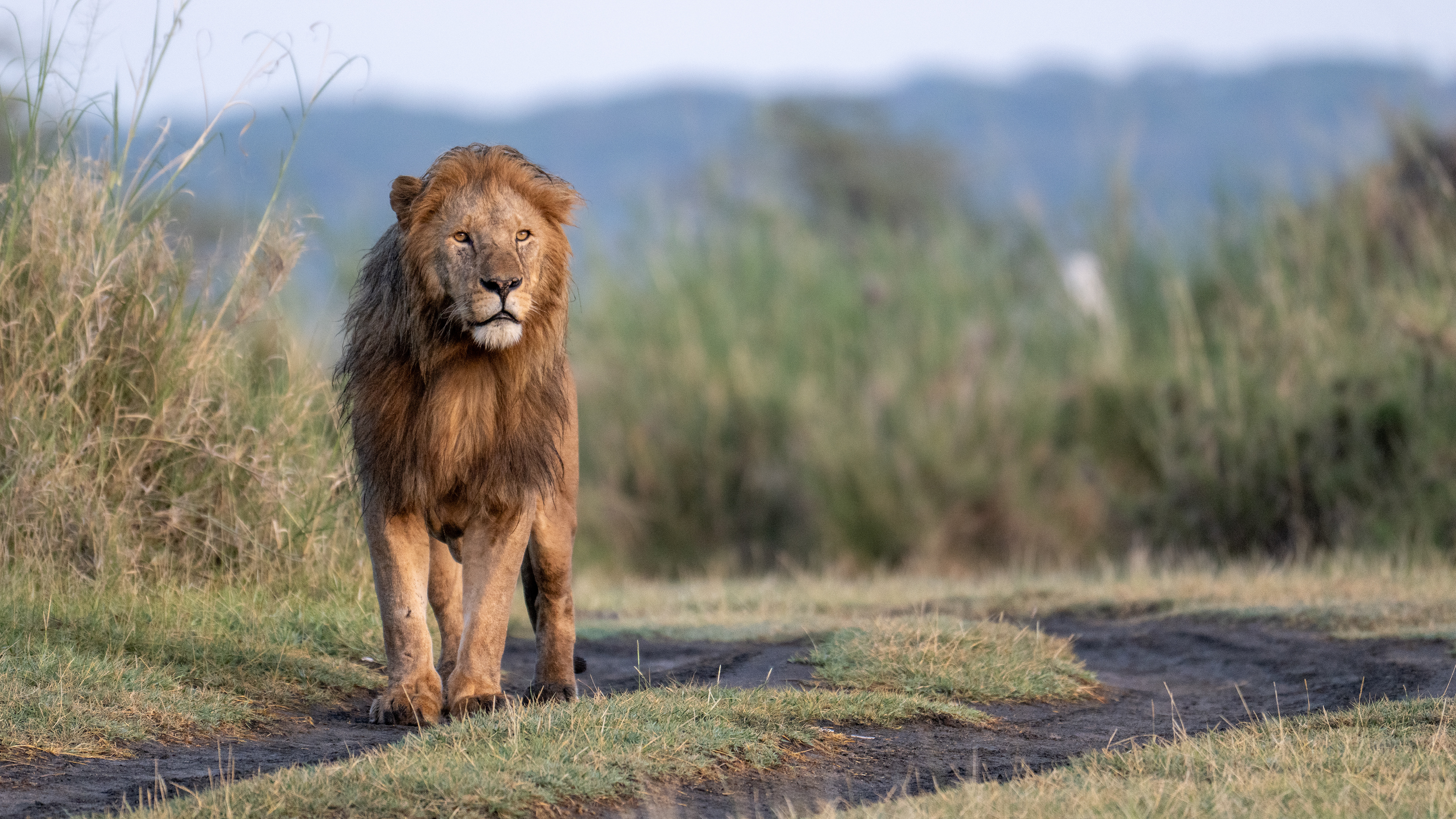 Ndutu Conservation Area