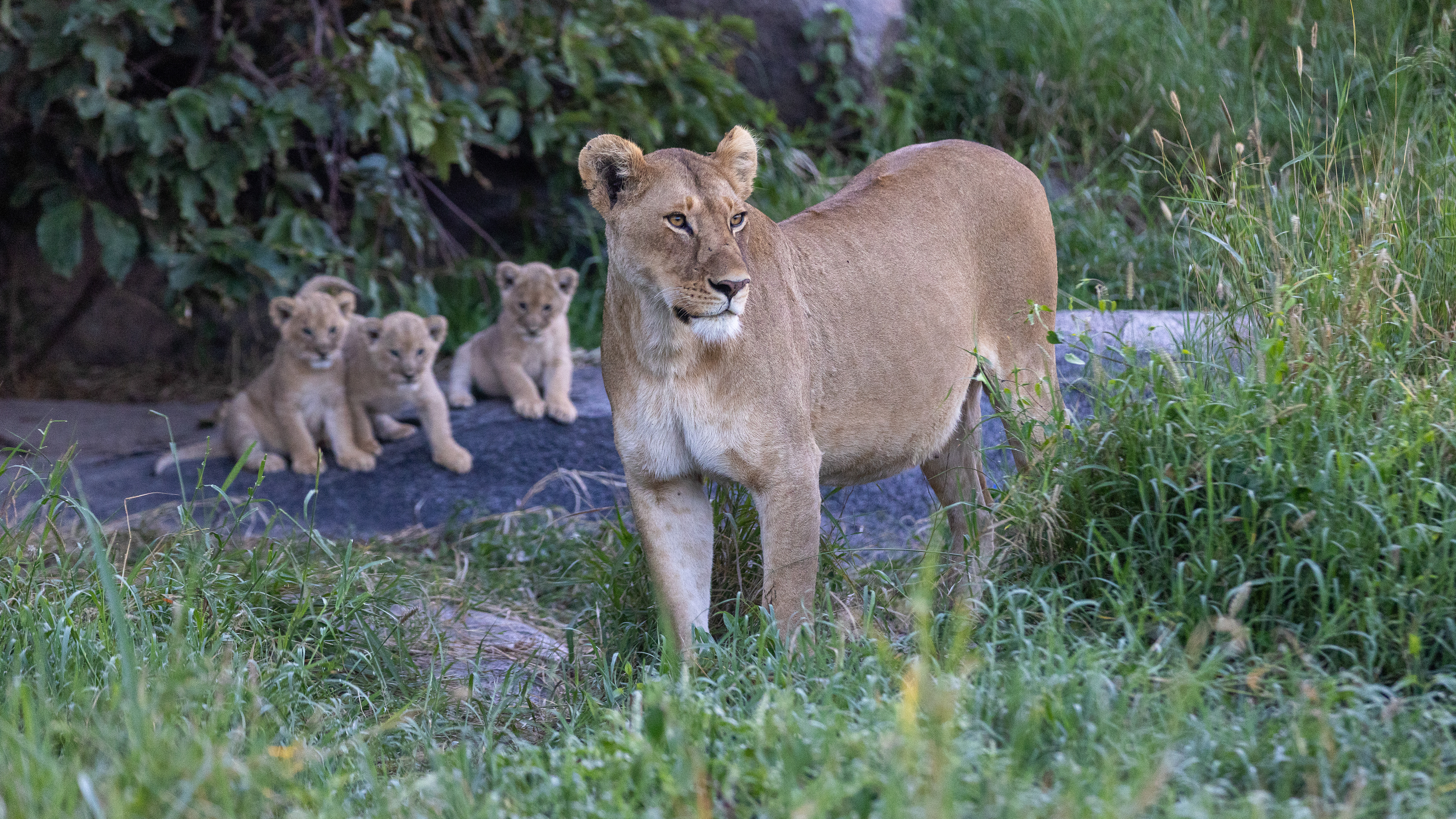 Serengeti National Park