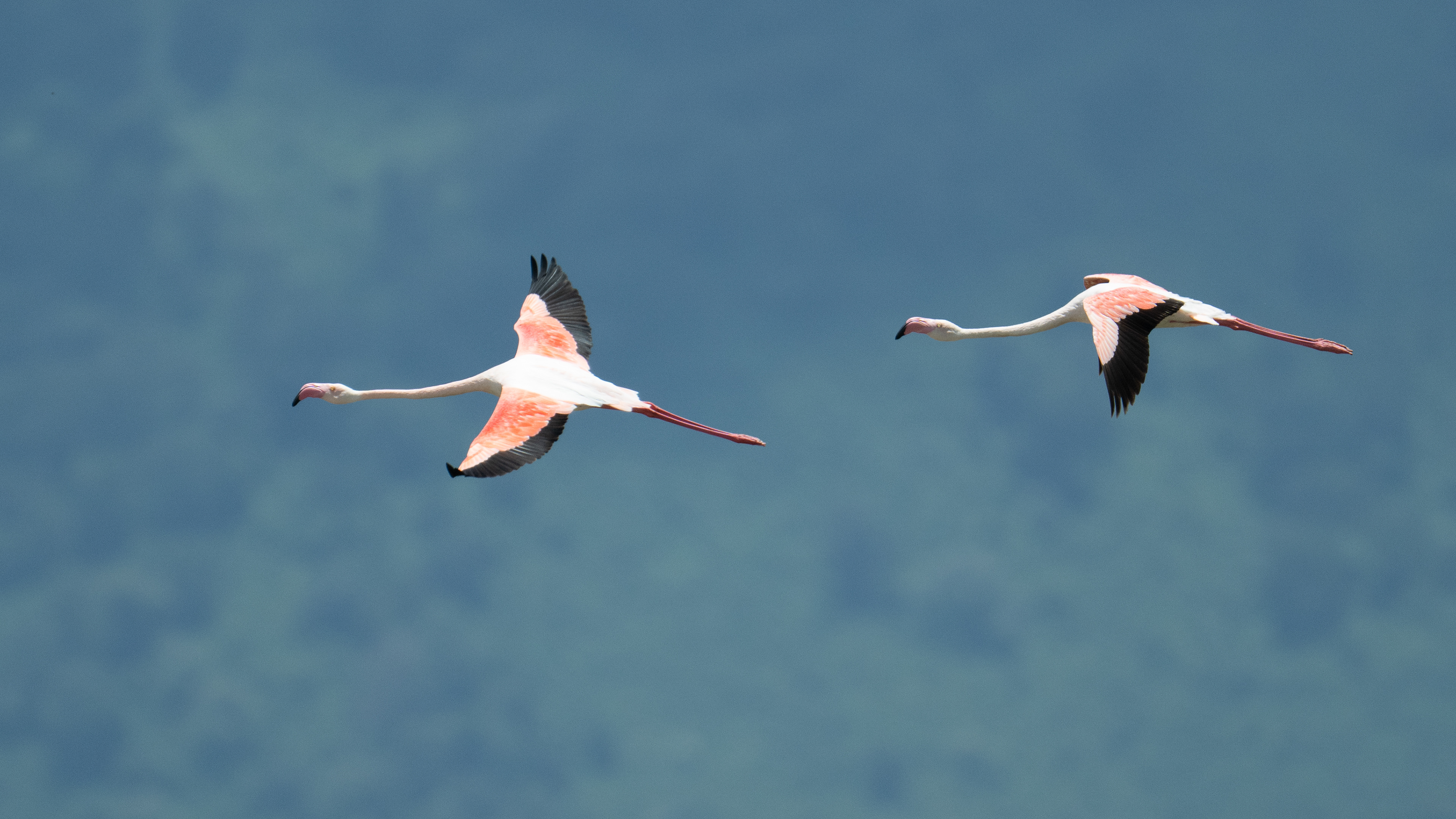 Ngorongoro Crater