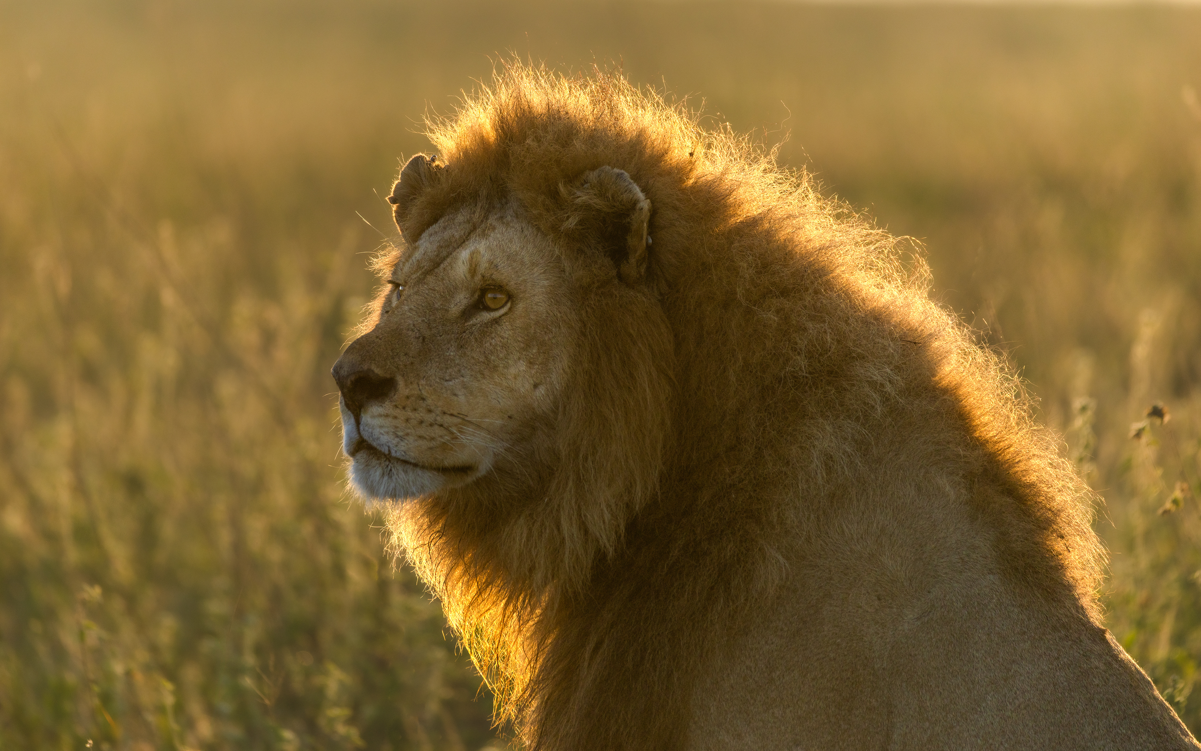 Serengeti National Park