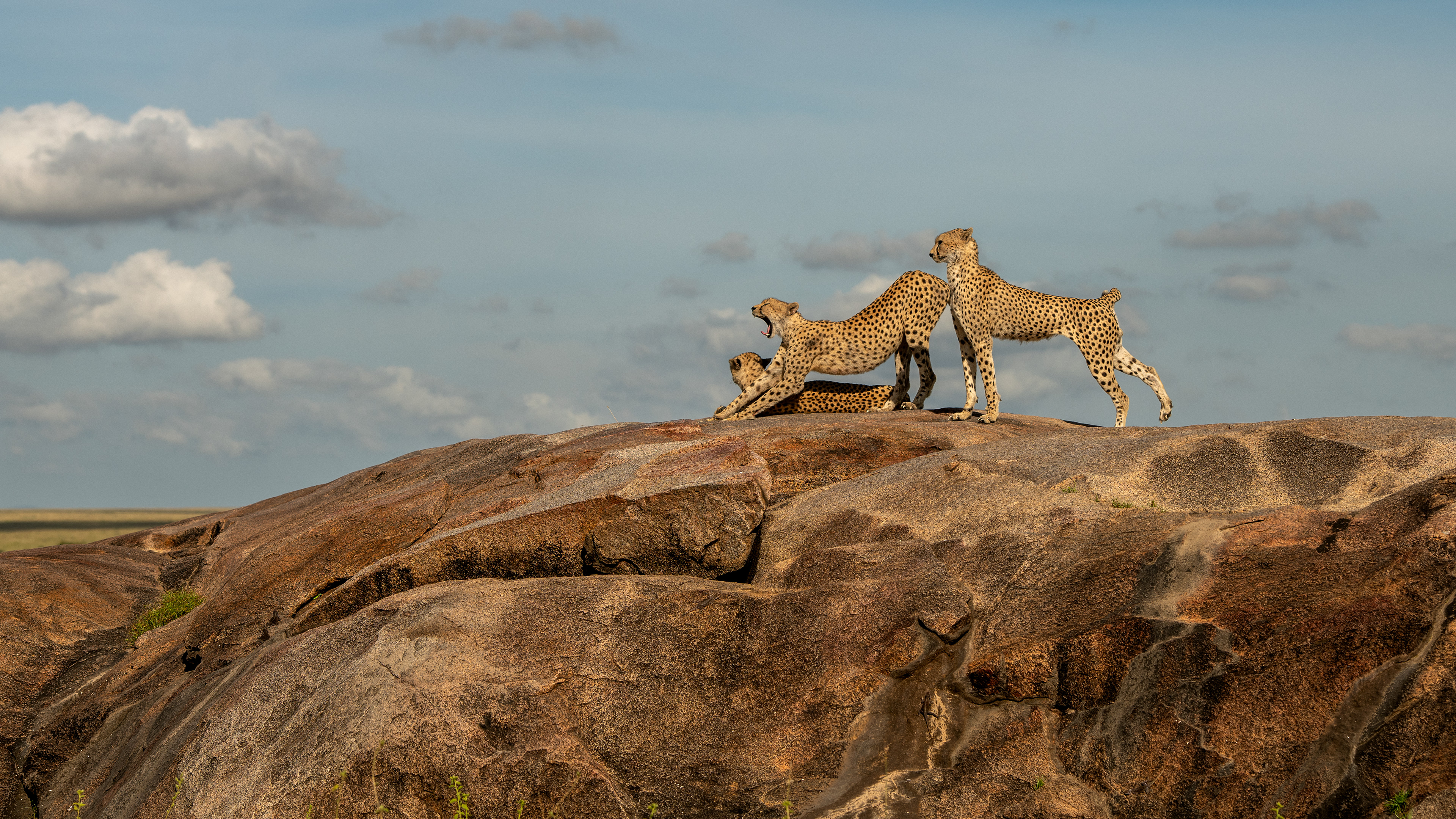 Serengeti National Park
