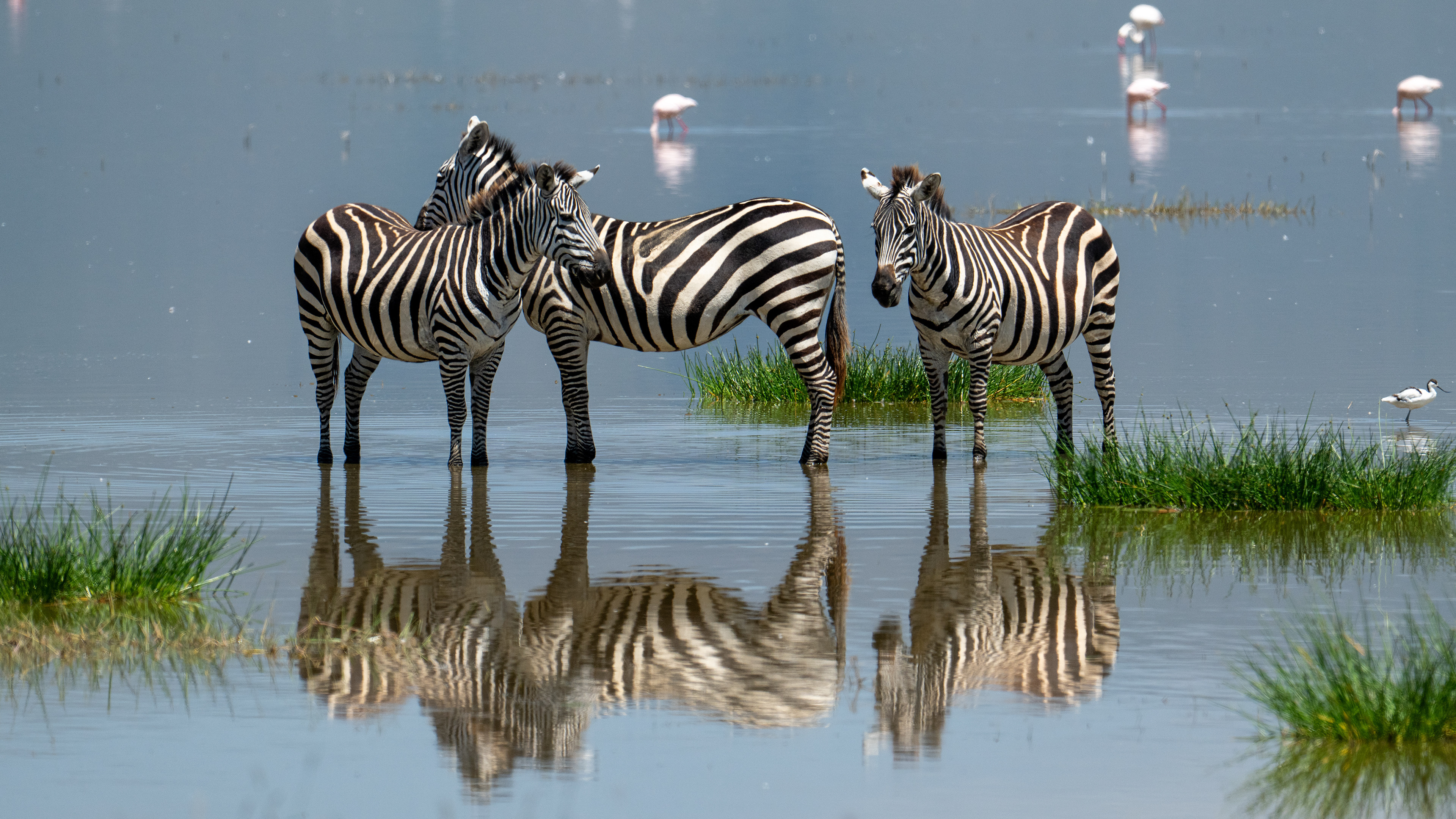 Ngorongoro Crater