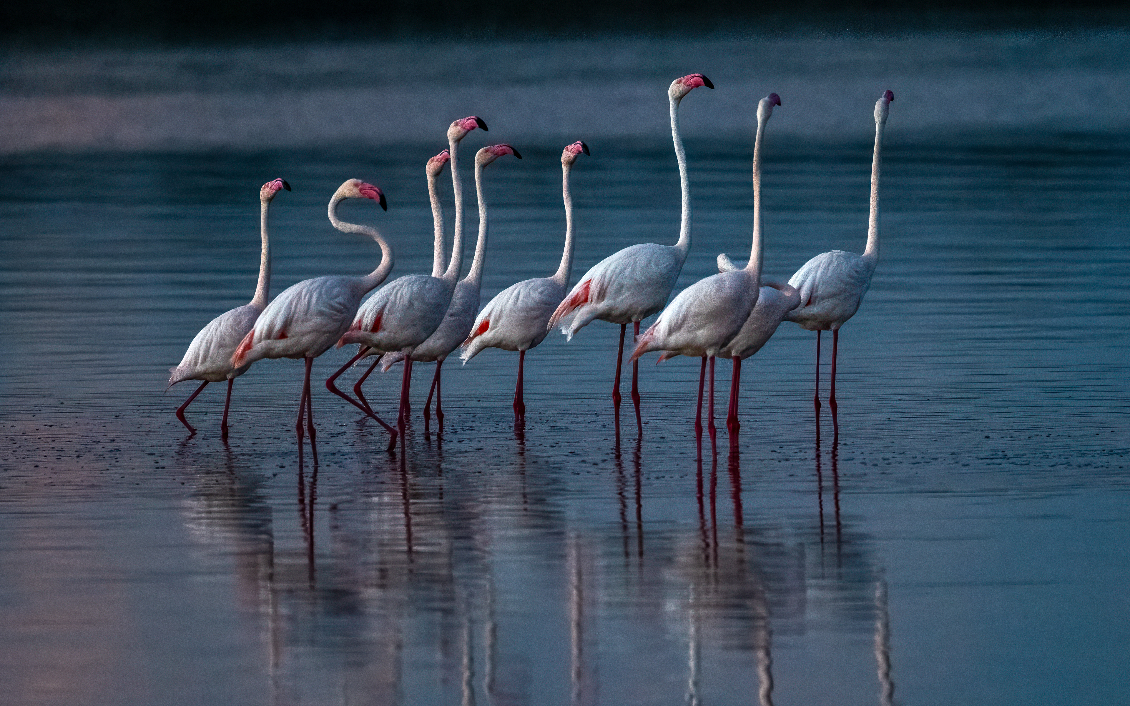 Ndutu Conservation Area