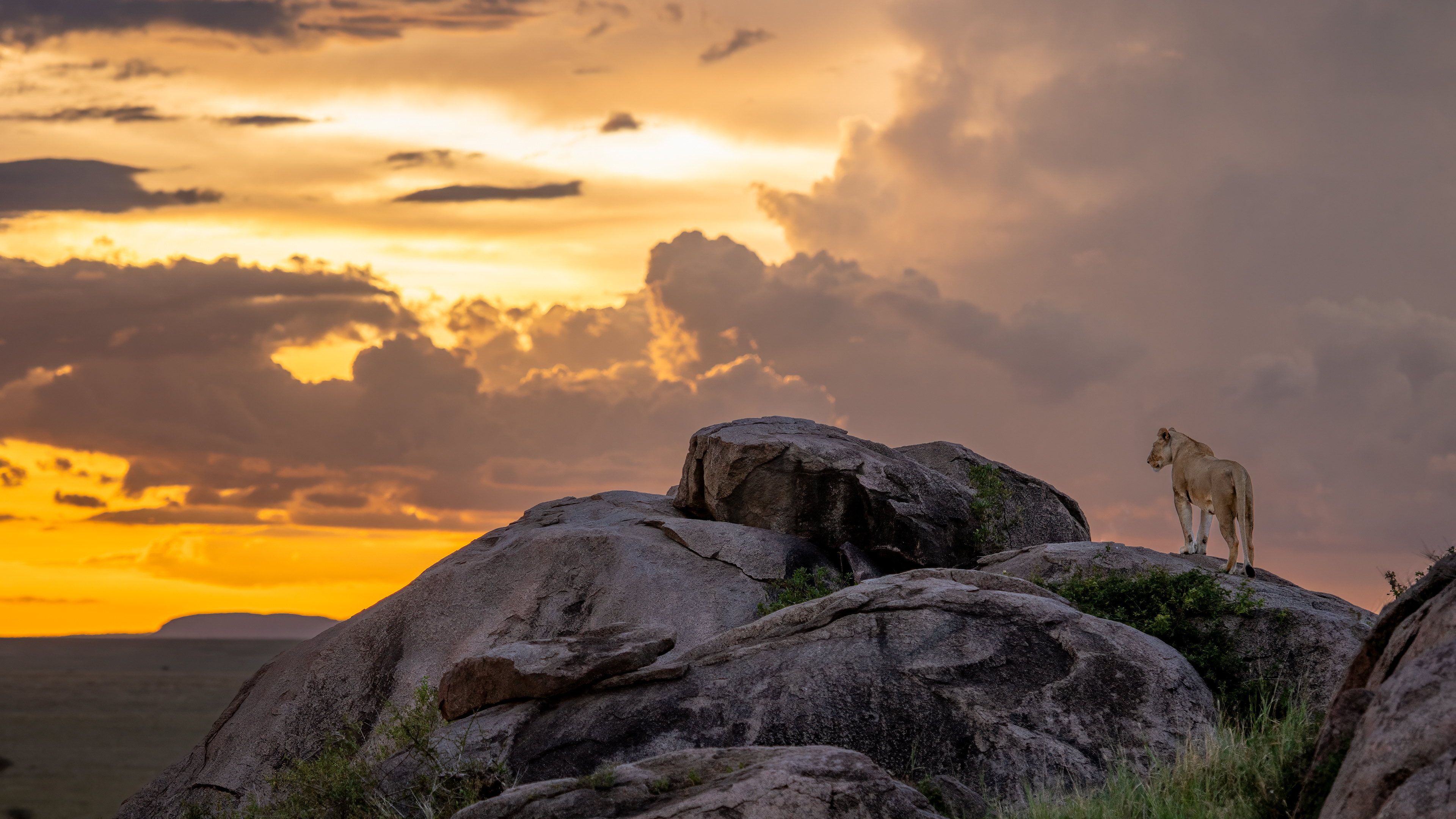 Serengeti National Park