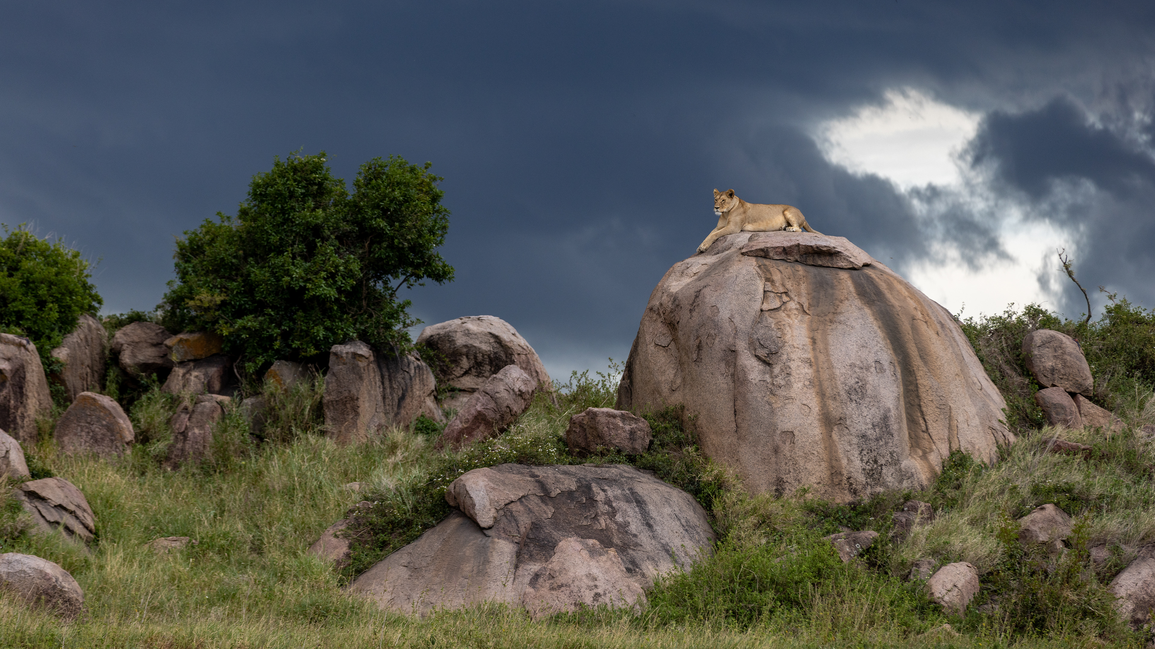 Serengeti National Park
