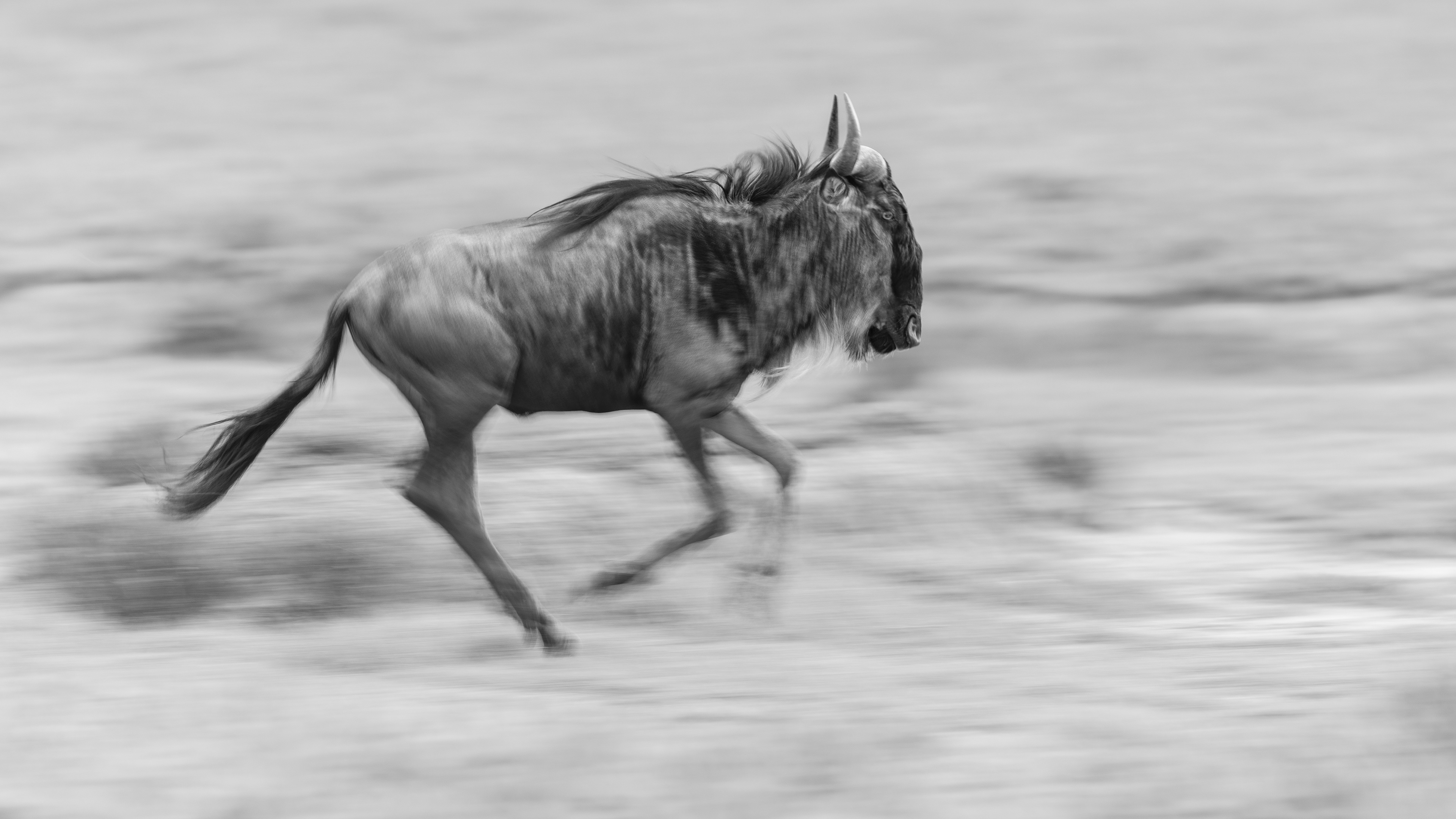 Serengeti National Park