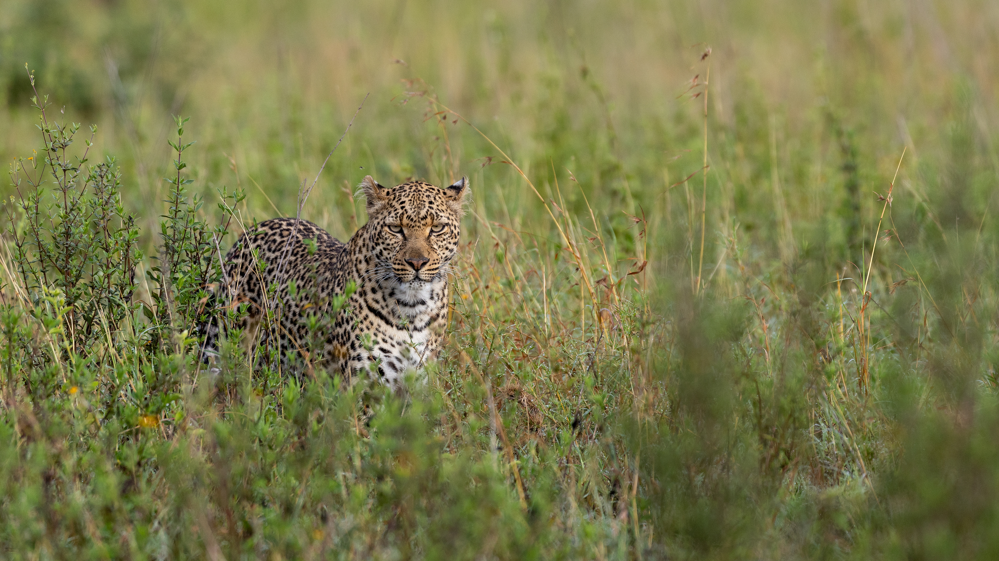 Serengeti National Park