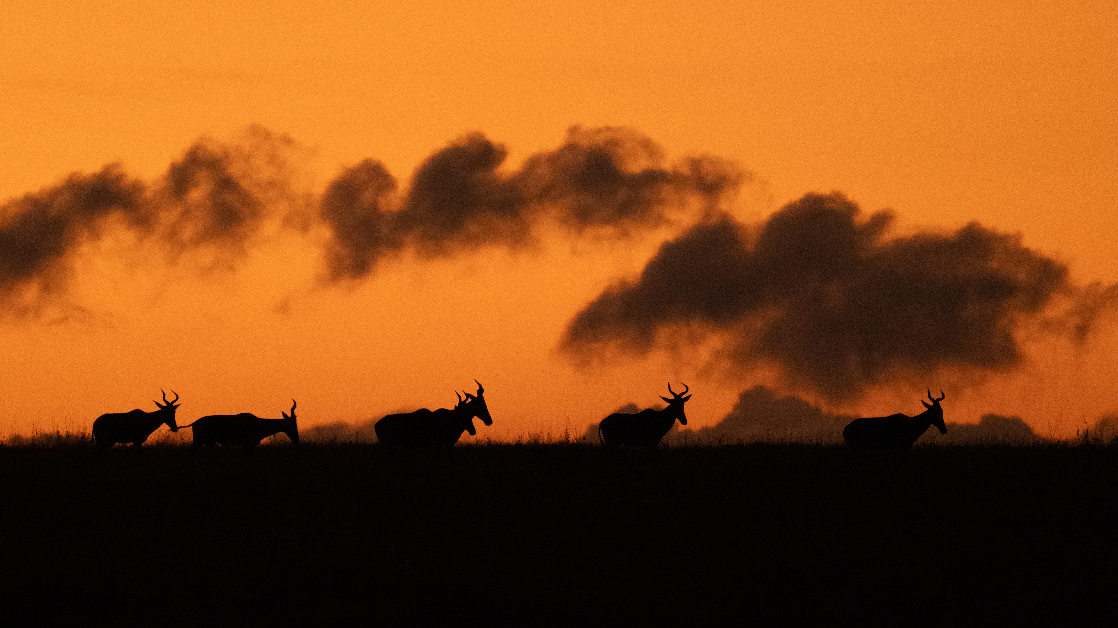 Serengeti National Park