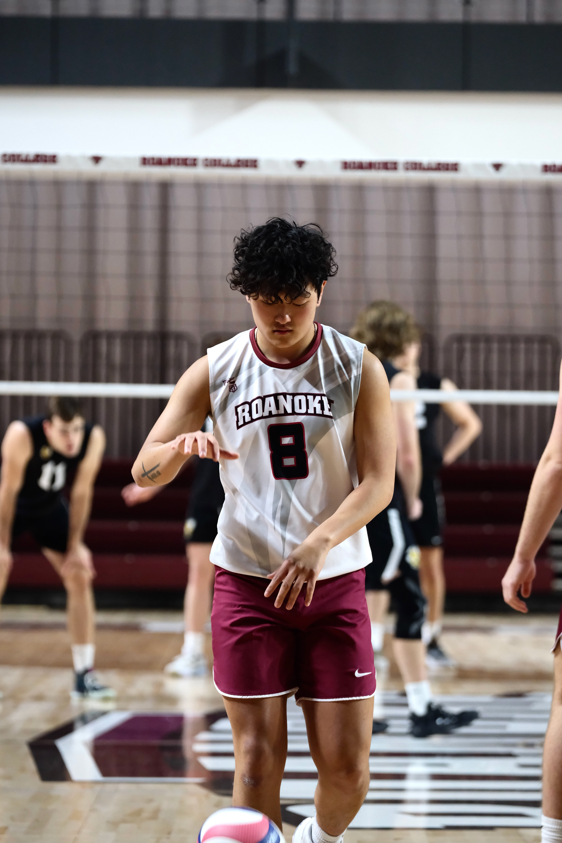 Roanoke College Men's Volleyball