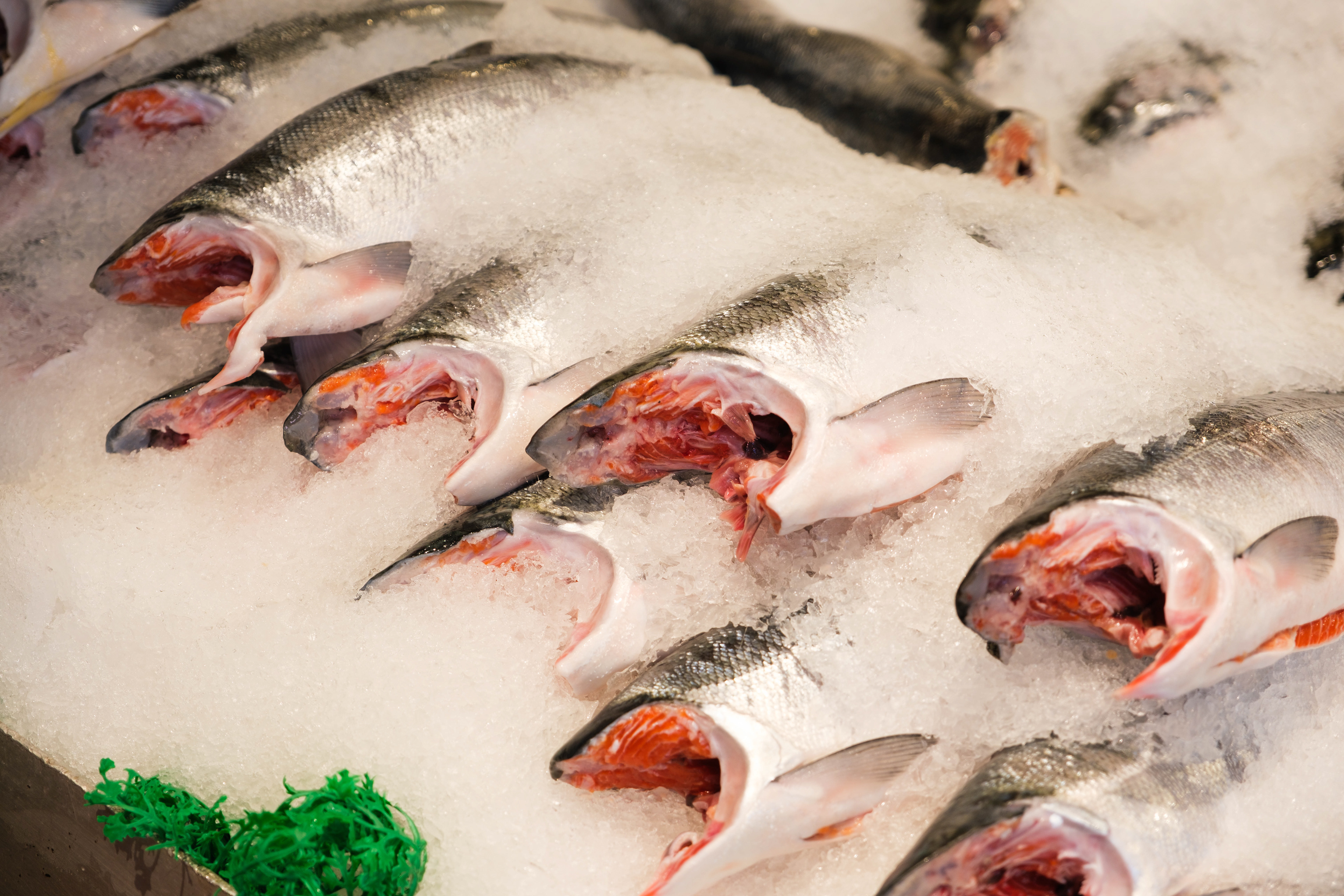 Fish after being prepared for sale in Pike Place Market