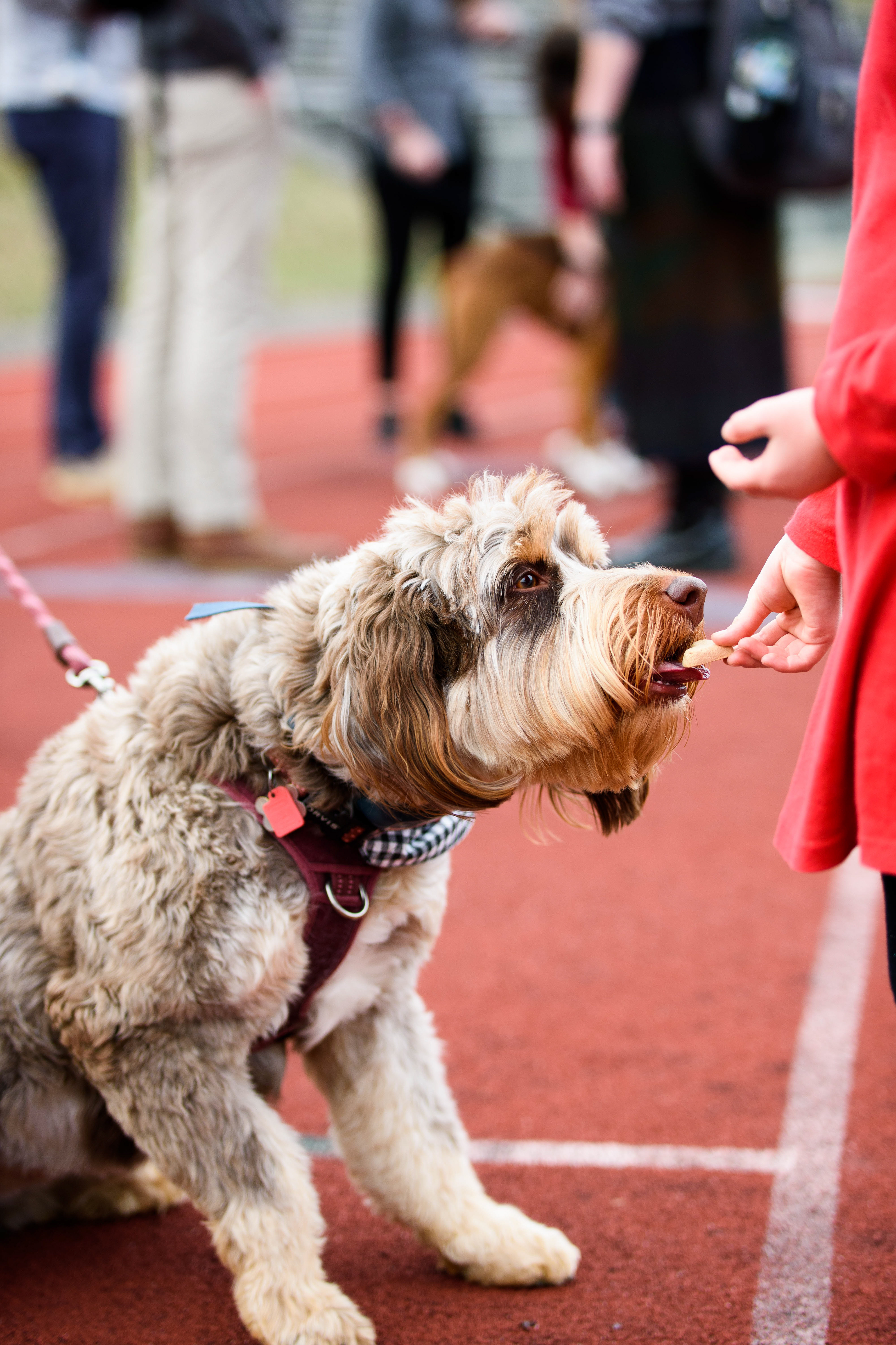 Maple Shushok at Roanoke College