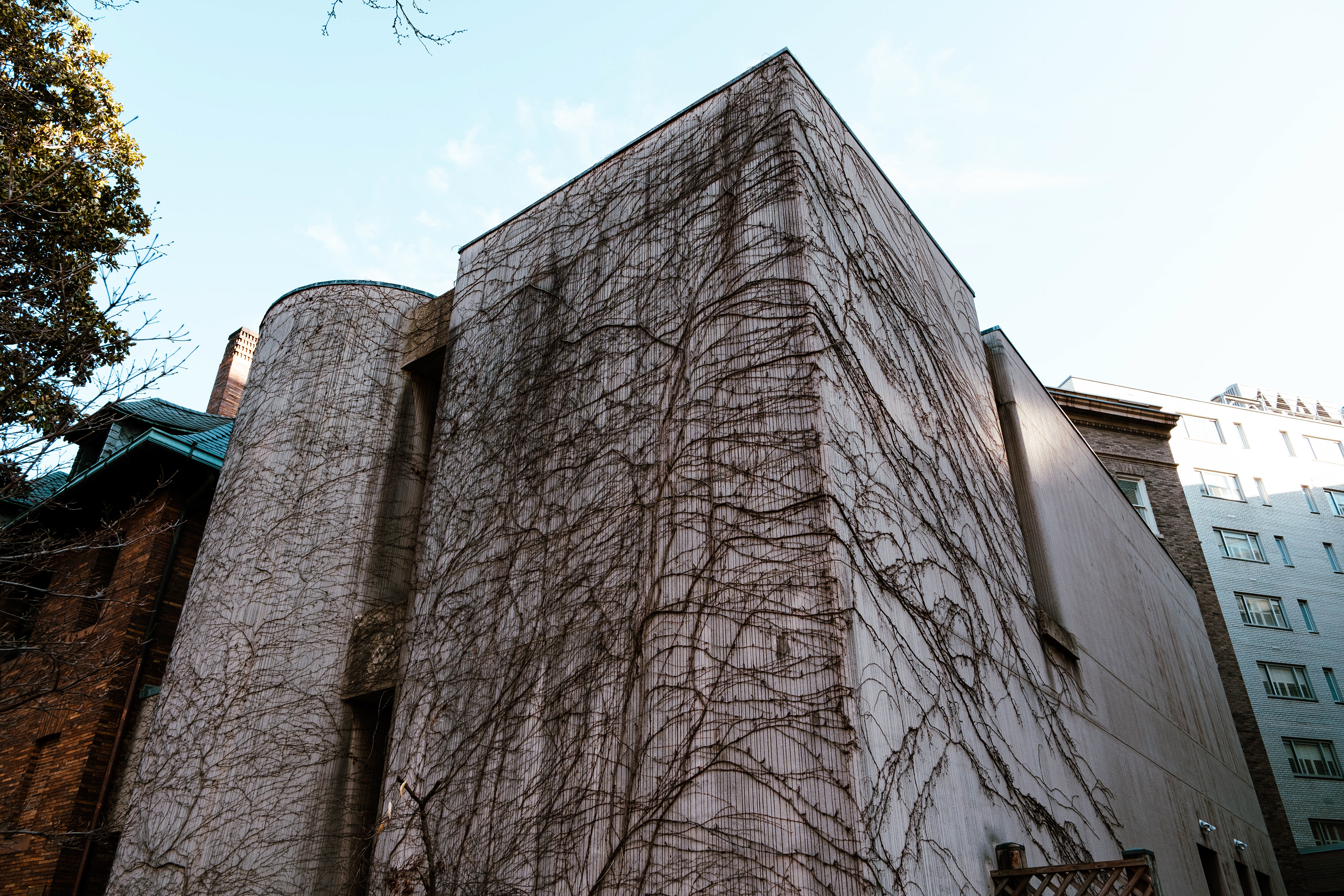 Vines consuming a building in Washington DC