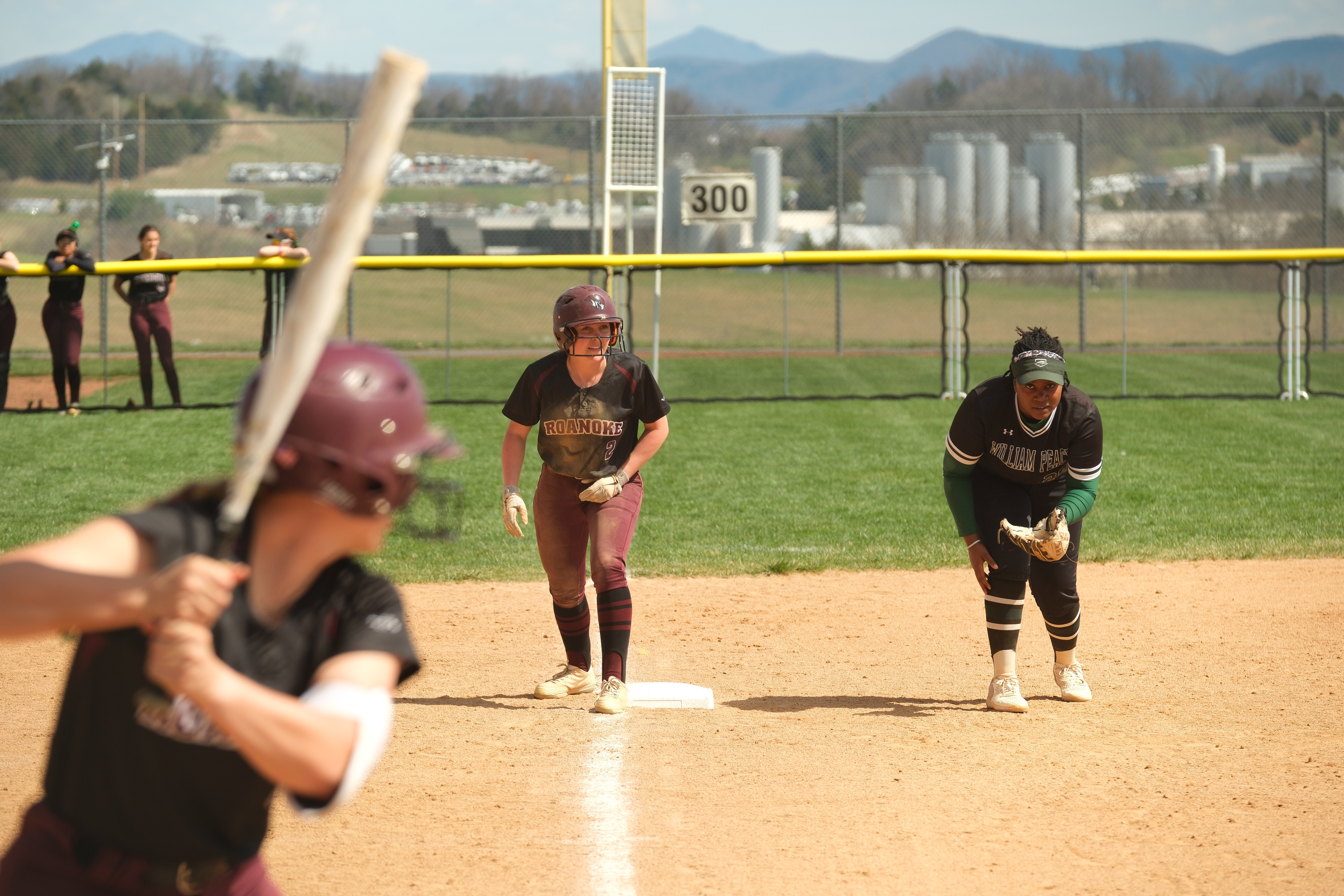 Roanoke College Women's Softball