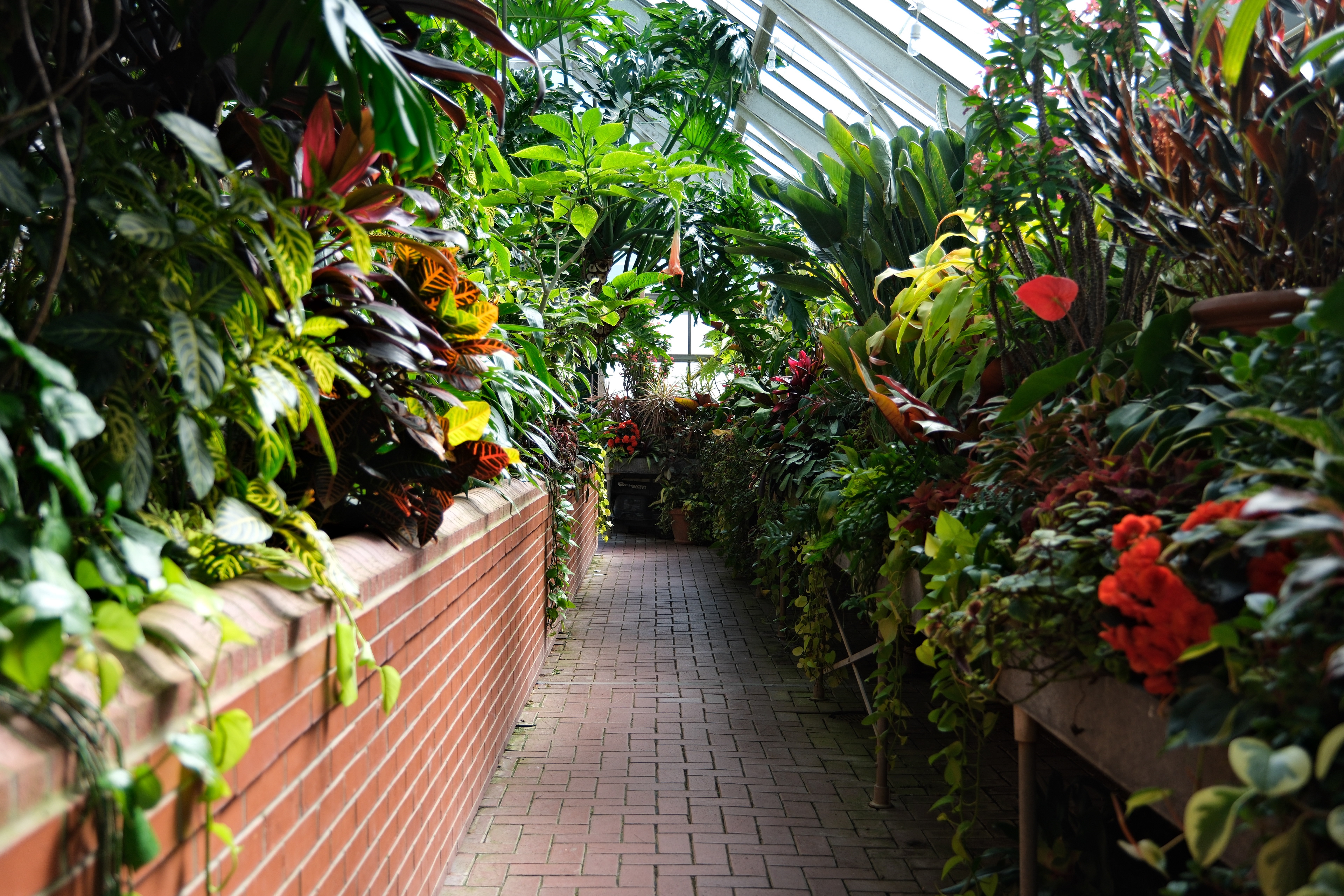 The walkway of a Biltmore Estate greenhouse