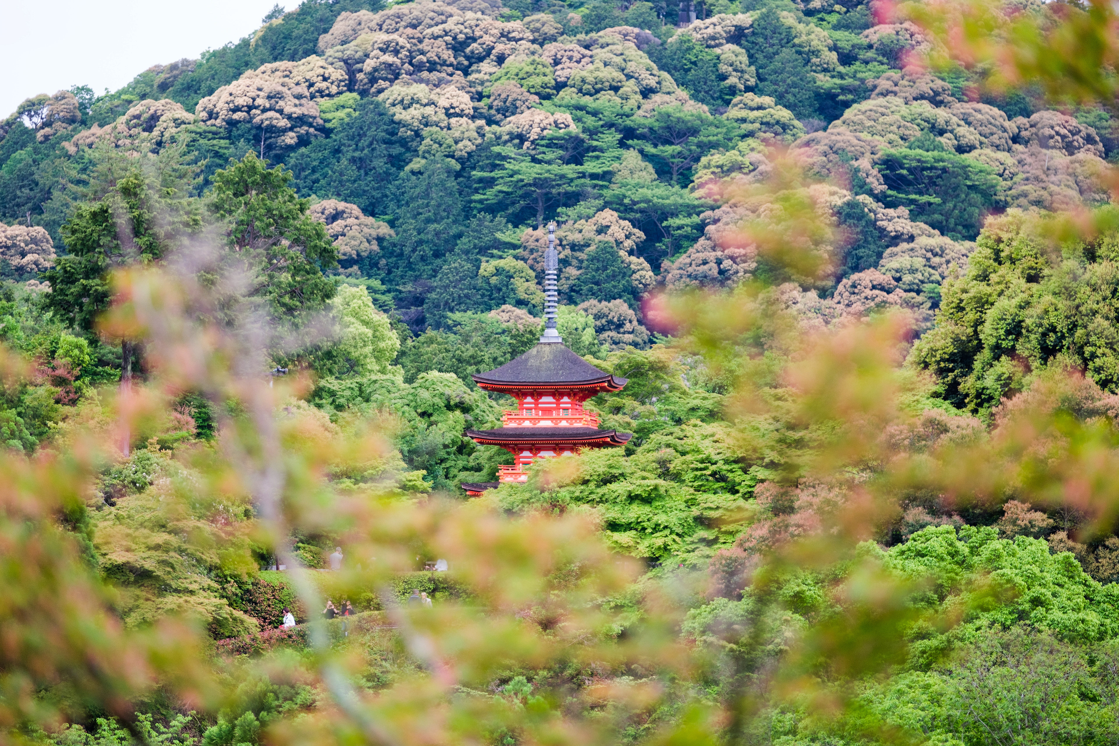Temple in Japan