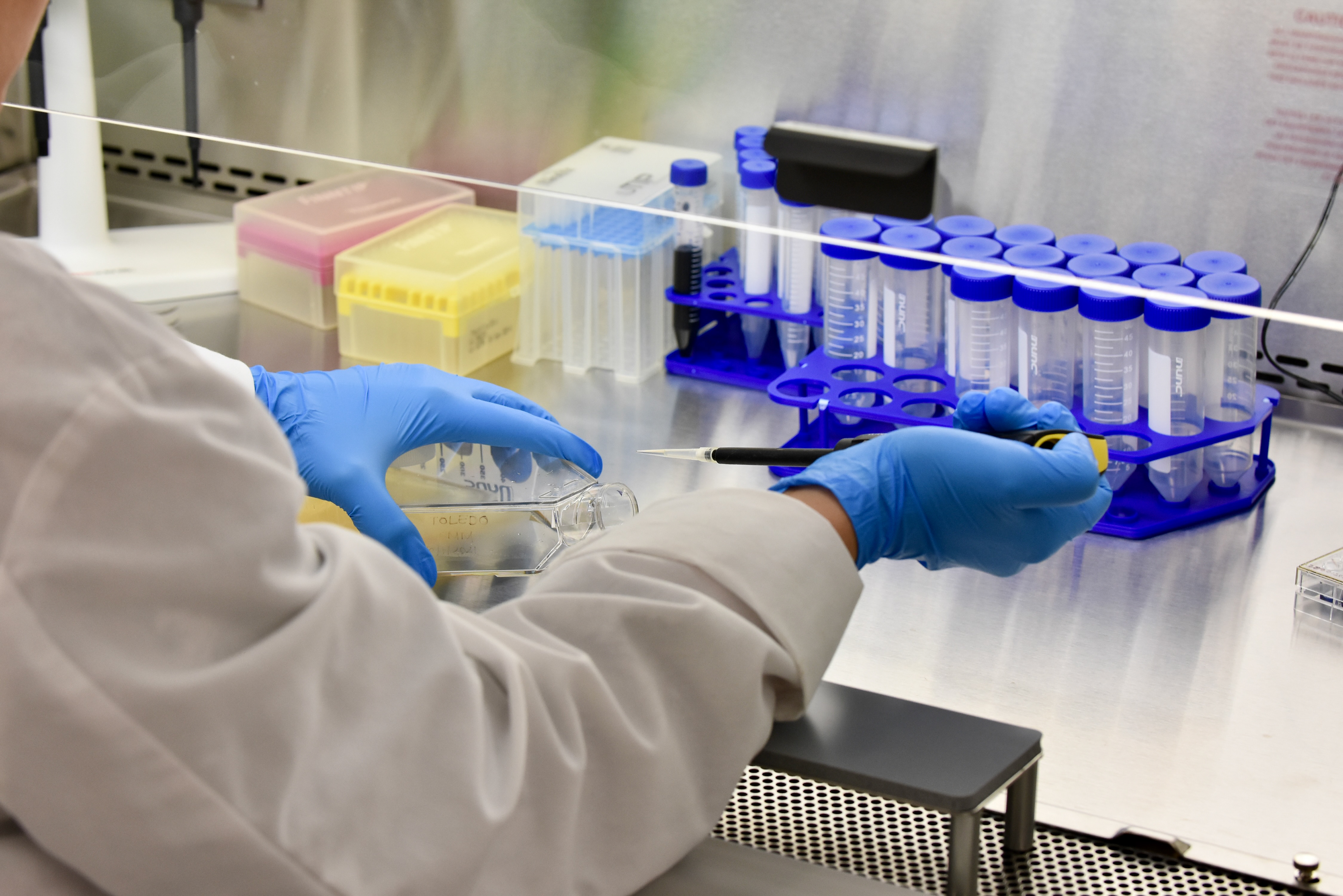 lab technician performing and experiment