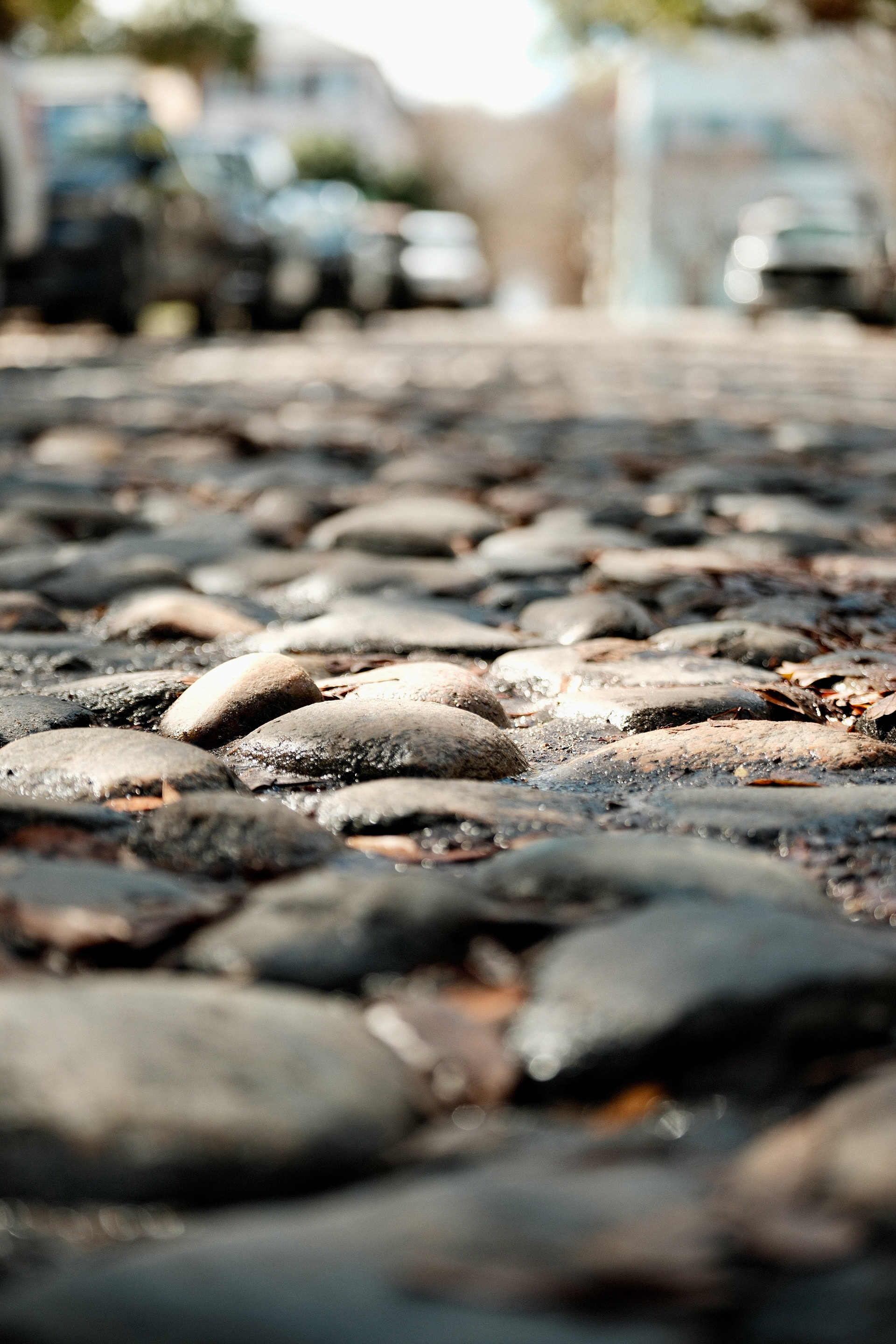 Cobblestone street in Charleston, South Carolina
