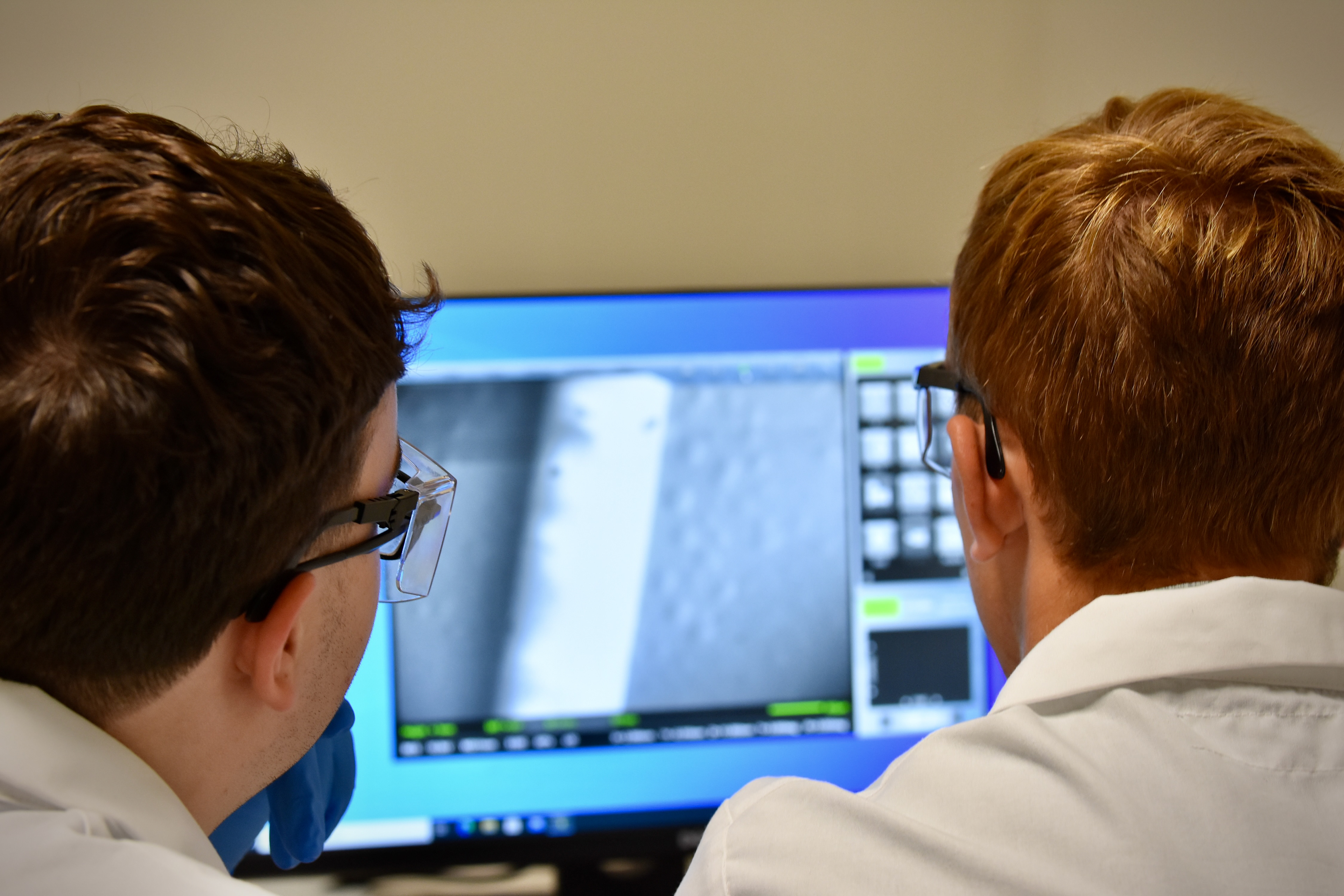 Two scientists observing imaging on a computer