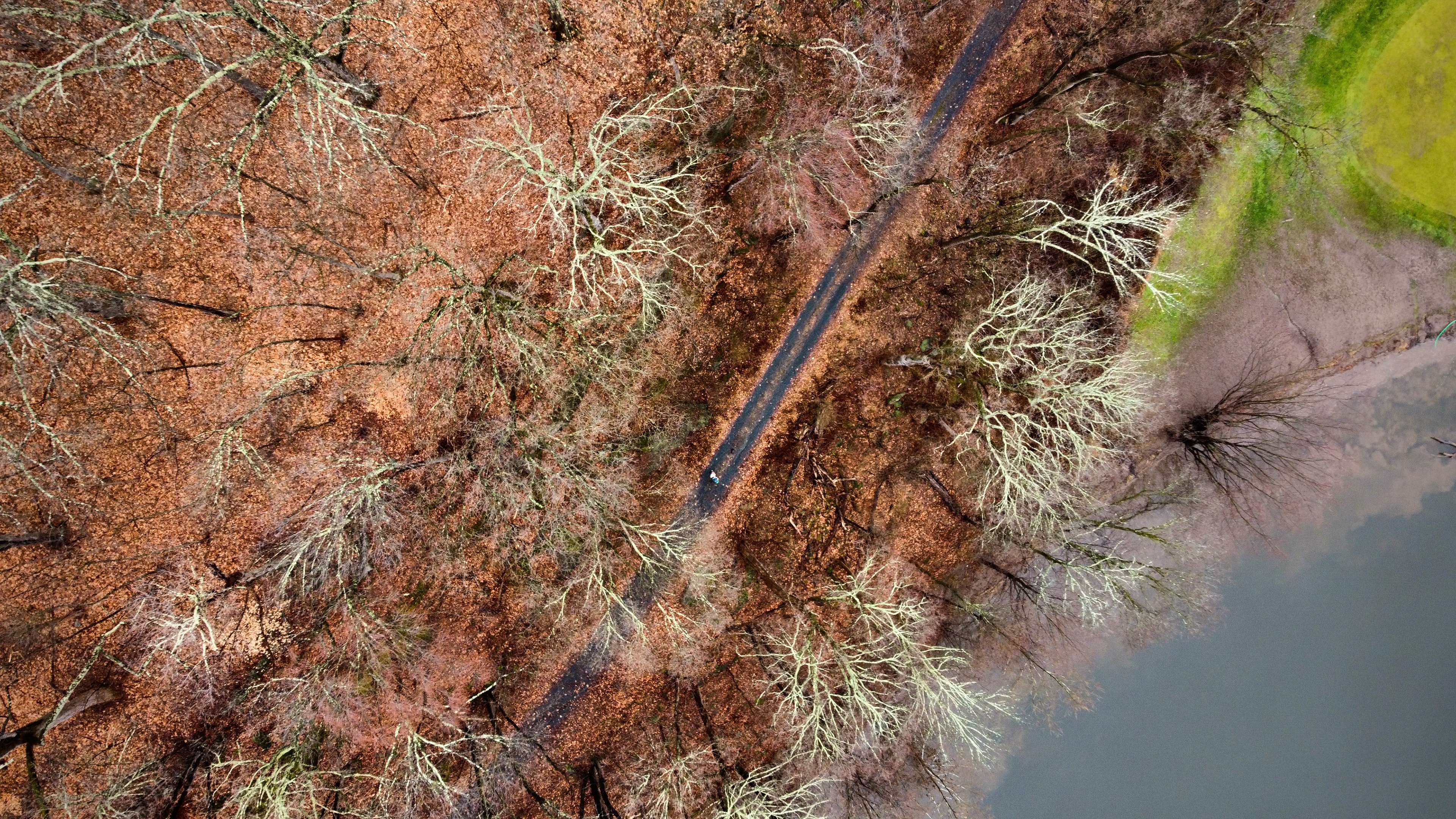 A Trail in New Jersey