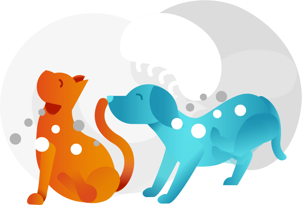 Flea and worming