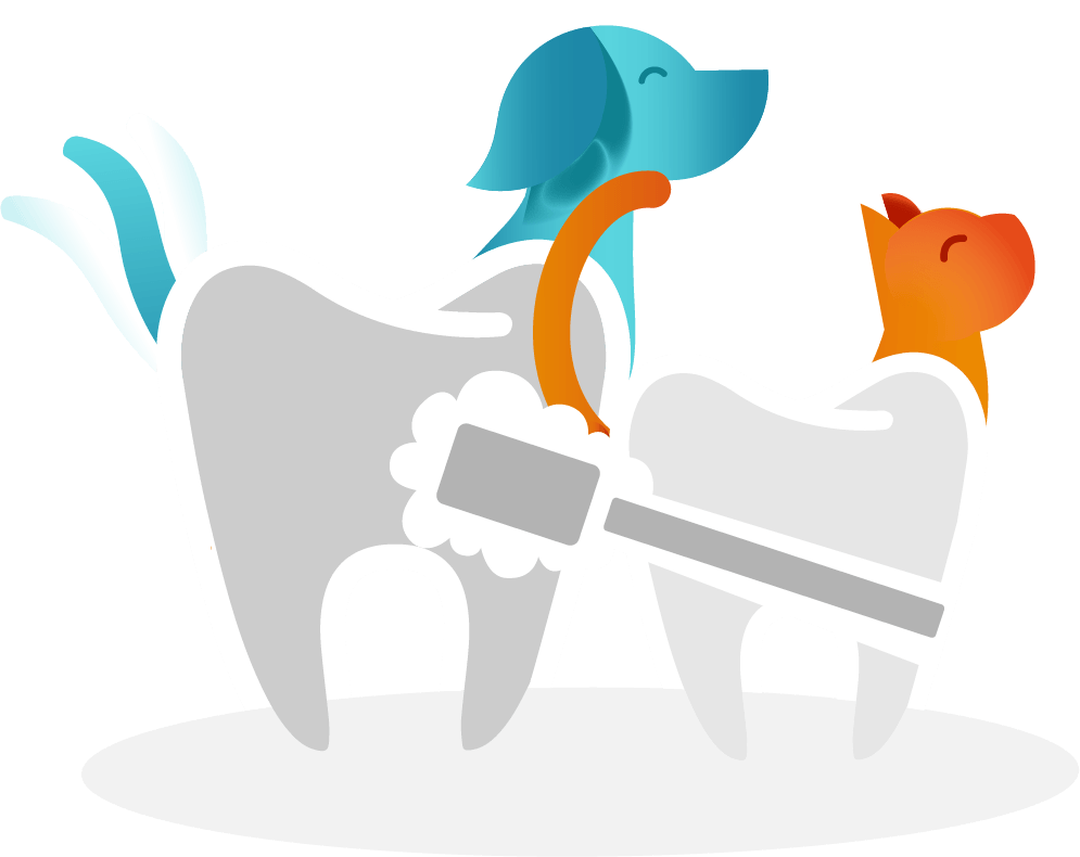 Dental
