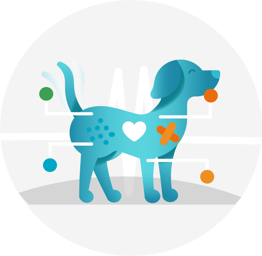 Symptom checker V1