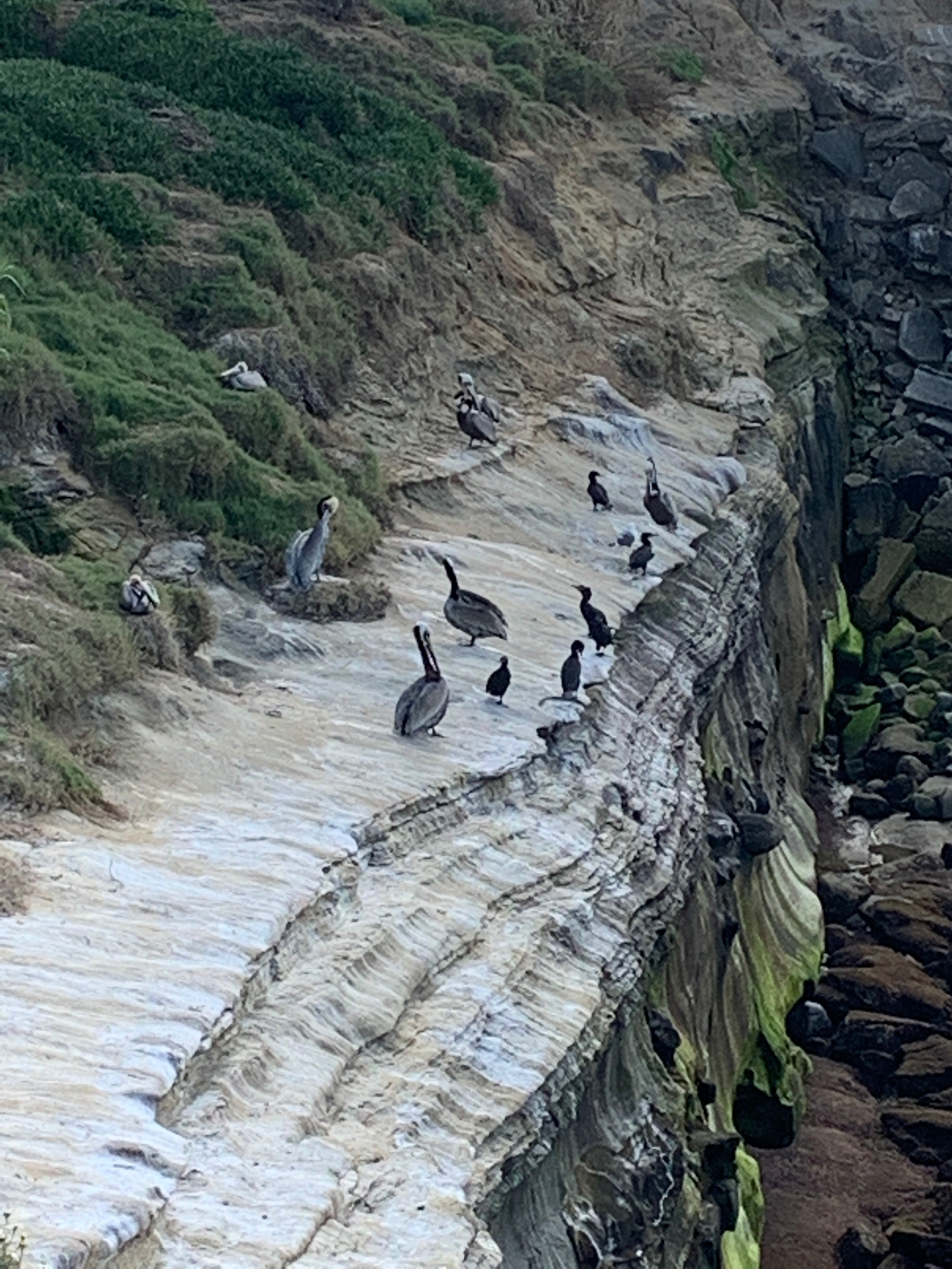 La Jolla, San Diego, California, U.S. Photo: Maissa Hamed ©