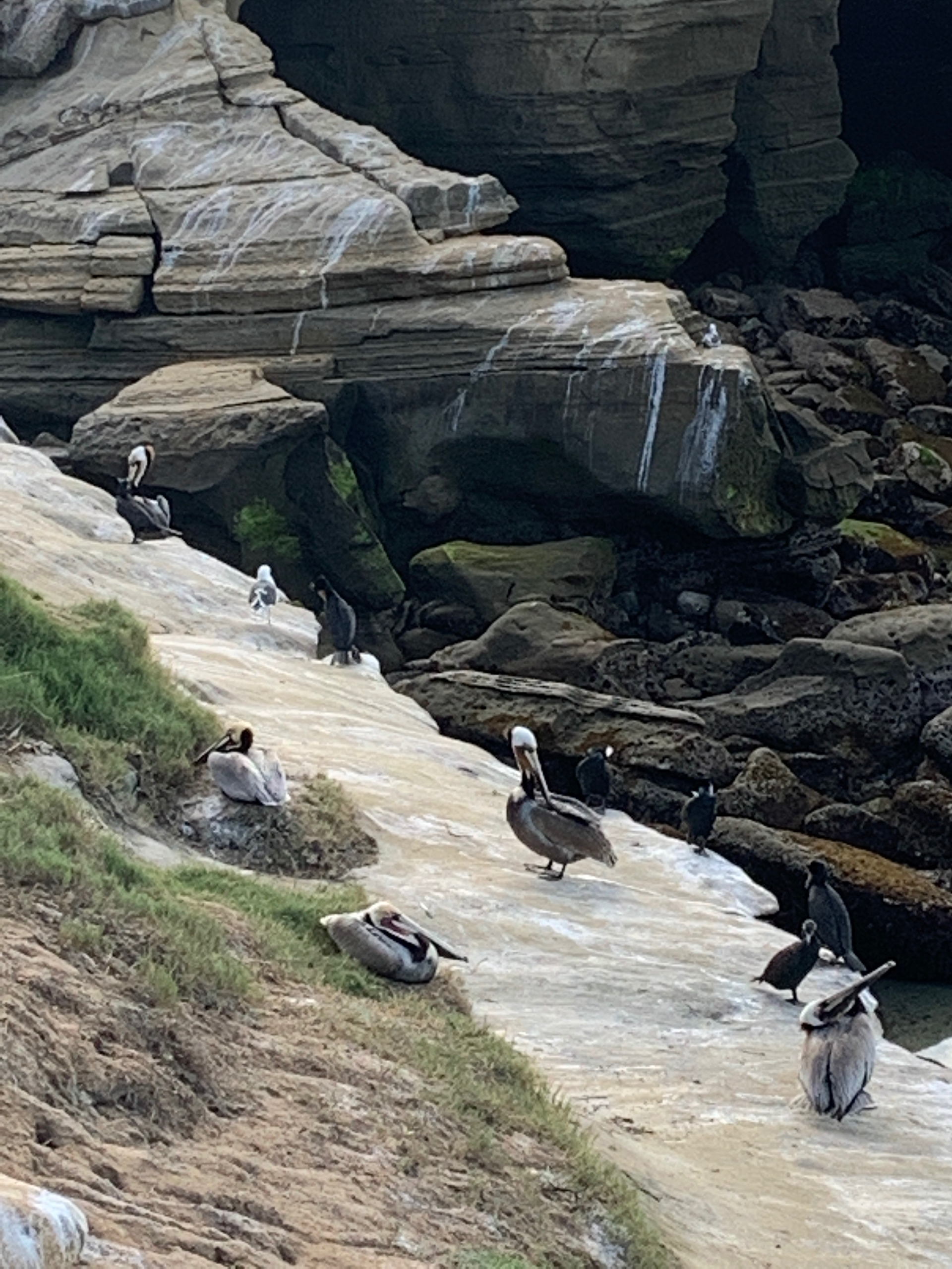 La Jolla, San Diego, California, U.S. Photo: Maissa Hamed ©