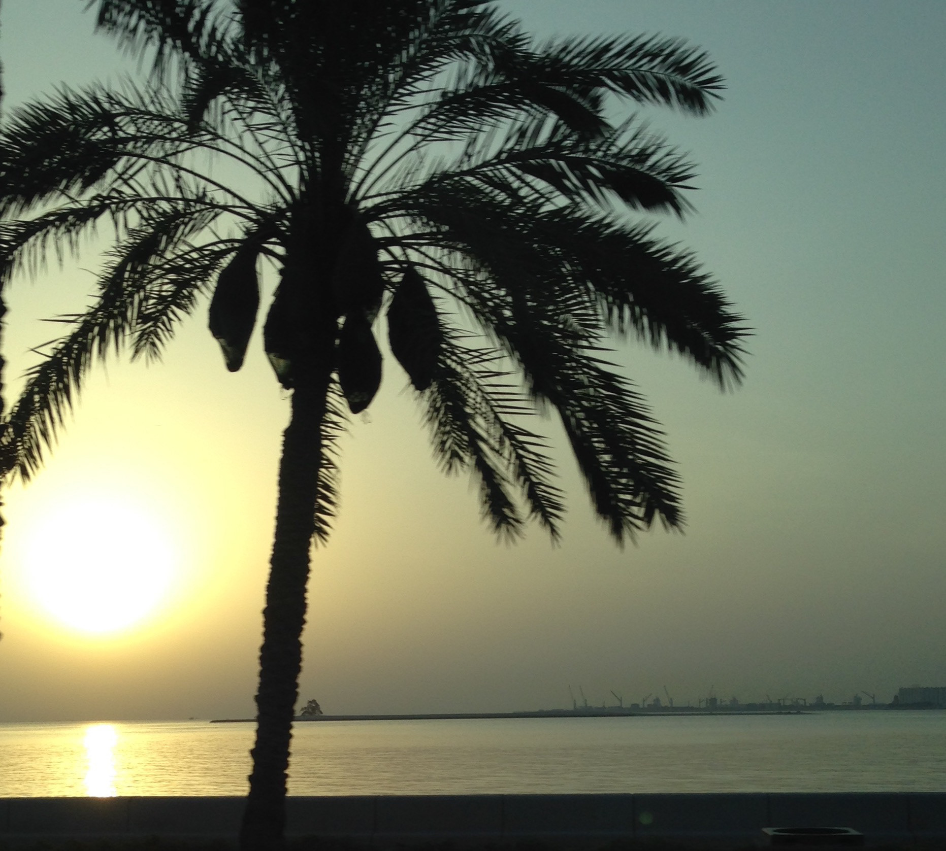 Doha, Qatar. Photo: Maissa Hamed ©