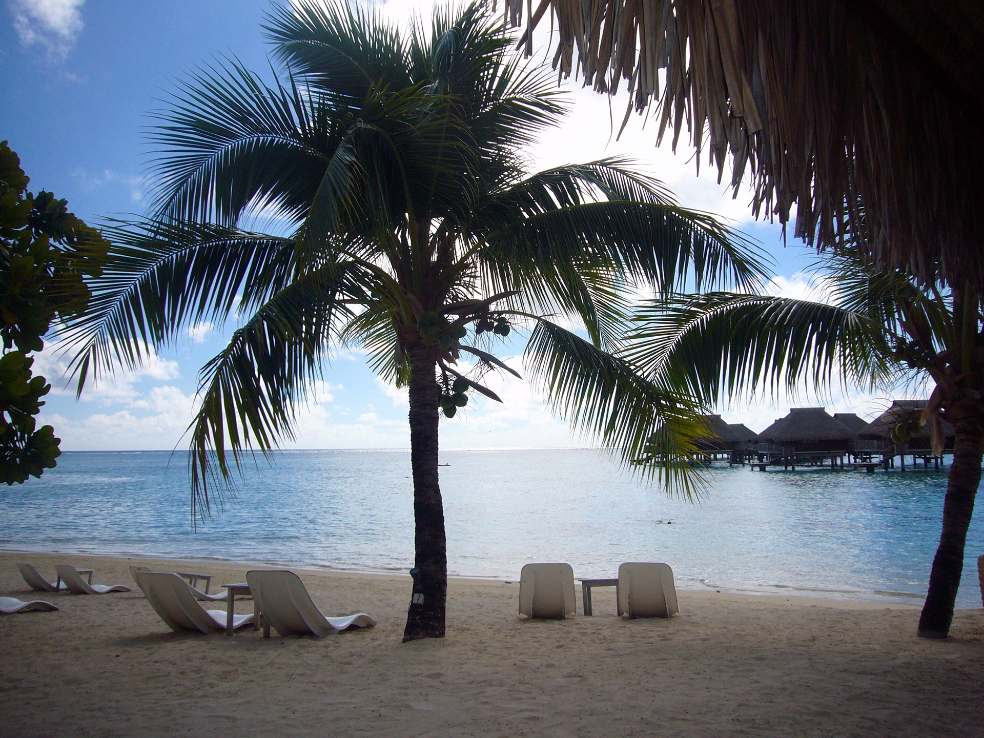 Tahiti, French Polynesia, Pacific Ocean. Photo: Maissa Hamed ©
