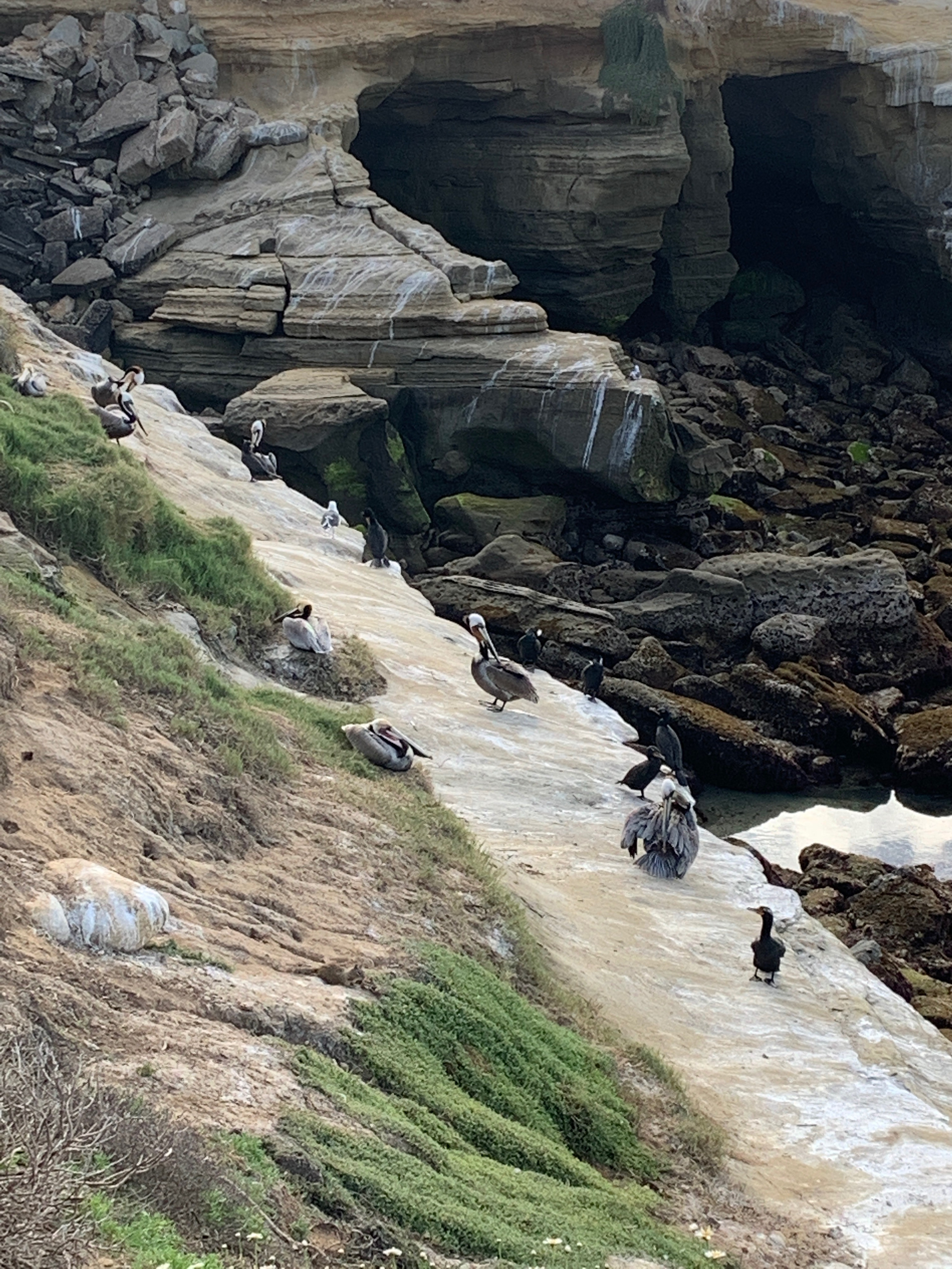 La Jolla, San Diego, California, U.S. Photo: Maissa Hamed ©