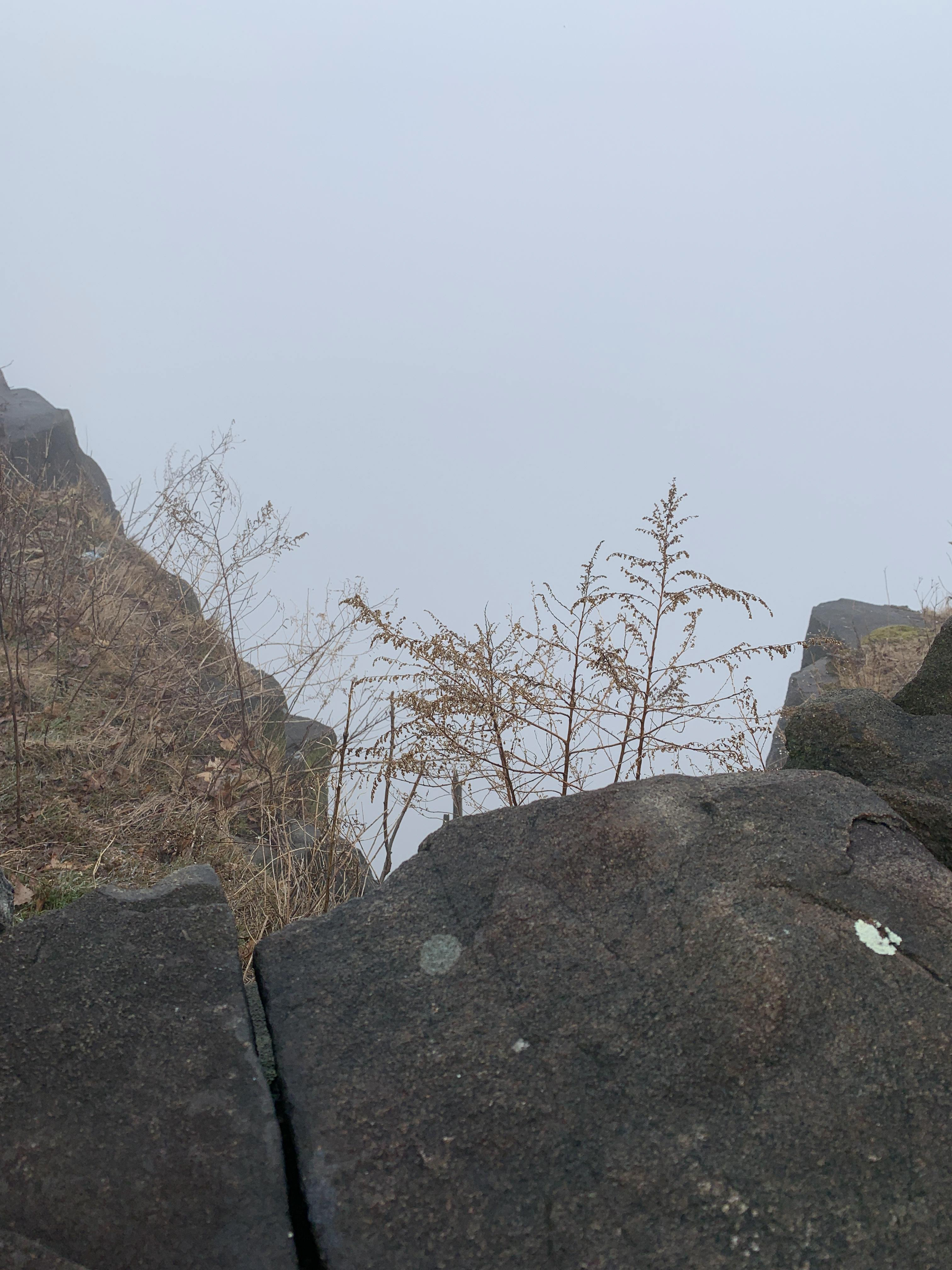 The Palisades, Hudson River: New York, USA. Photo: Maissa Hamed ©