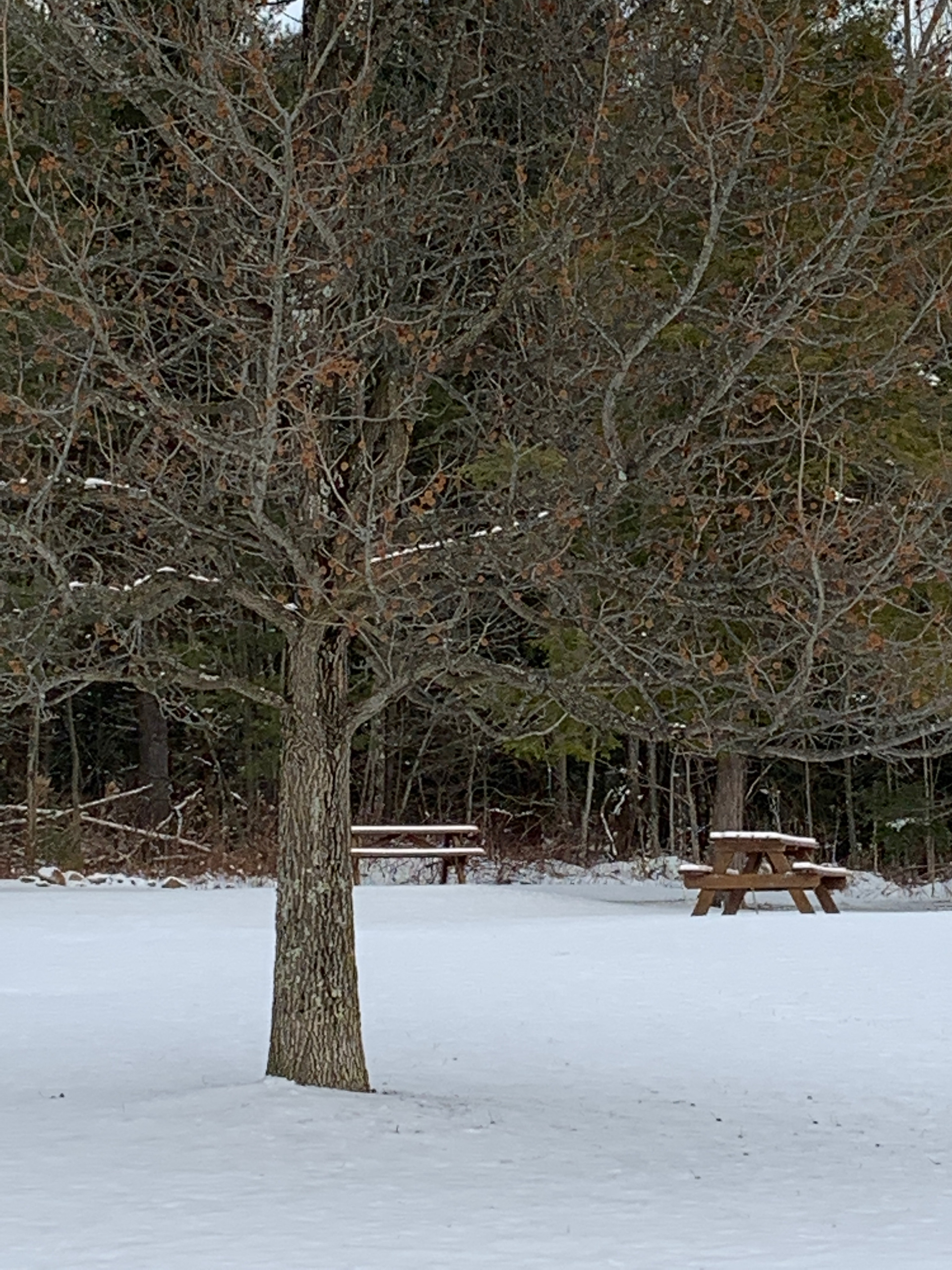 Syracuse, NY, USA.. Photo: Maissa Hamed ©