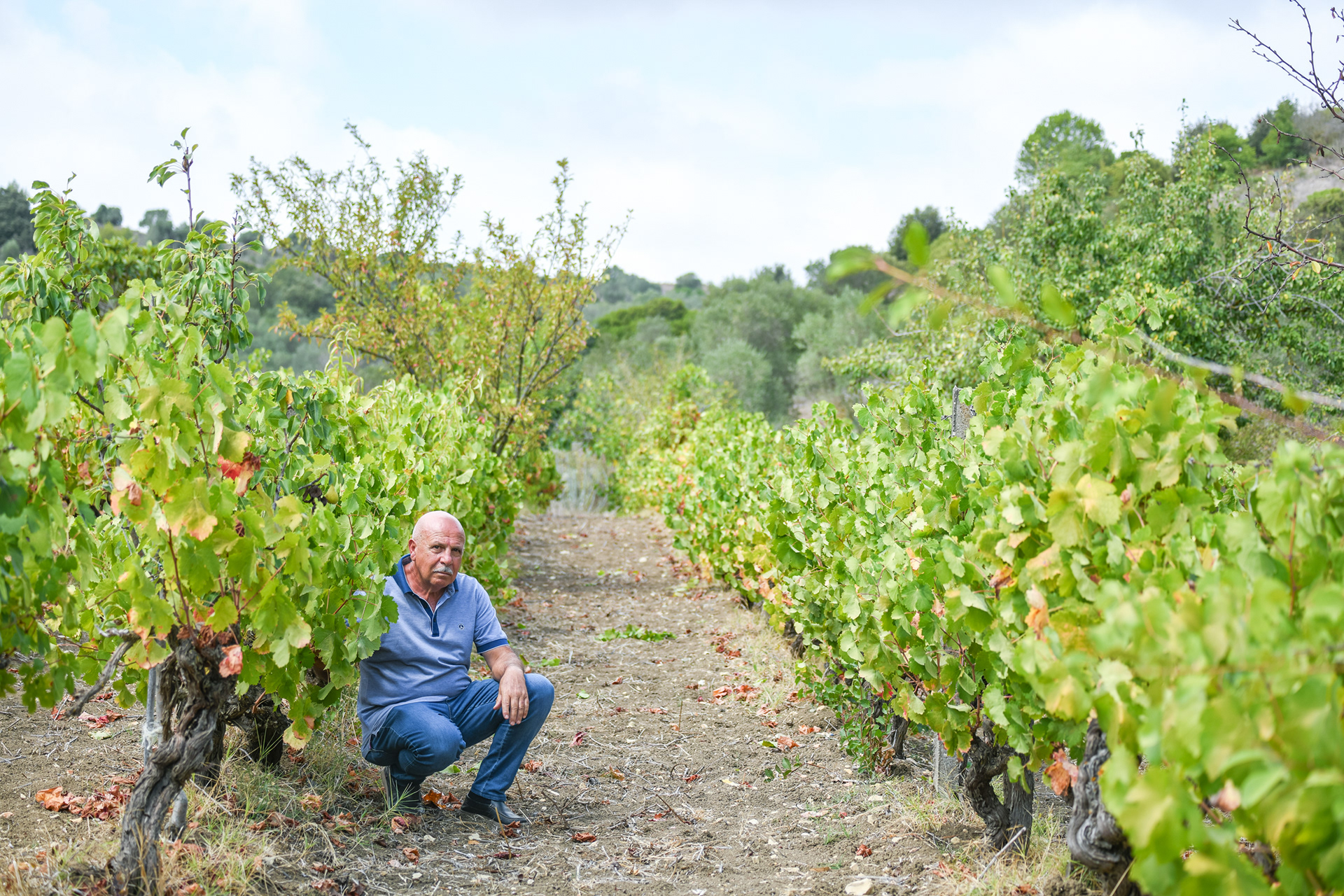 Gianni Pilloni, Sanluri